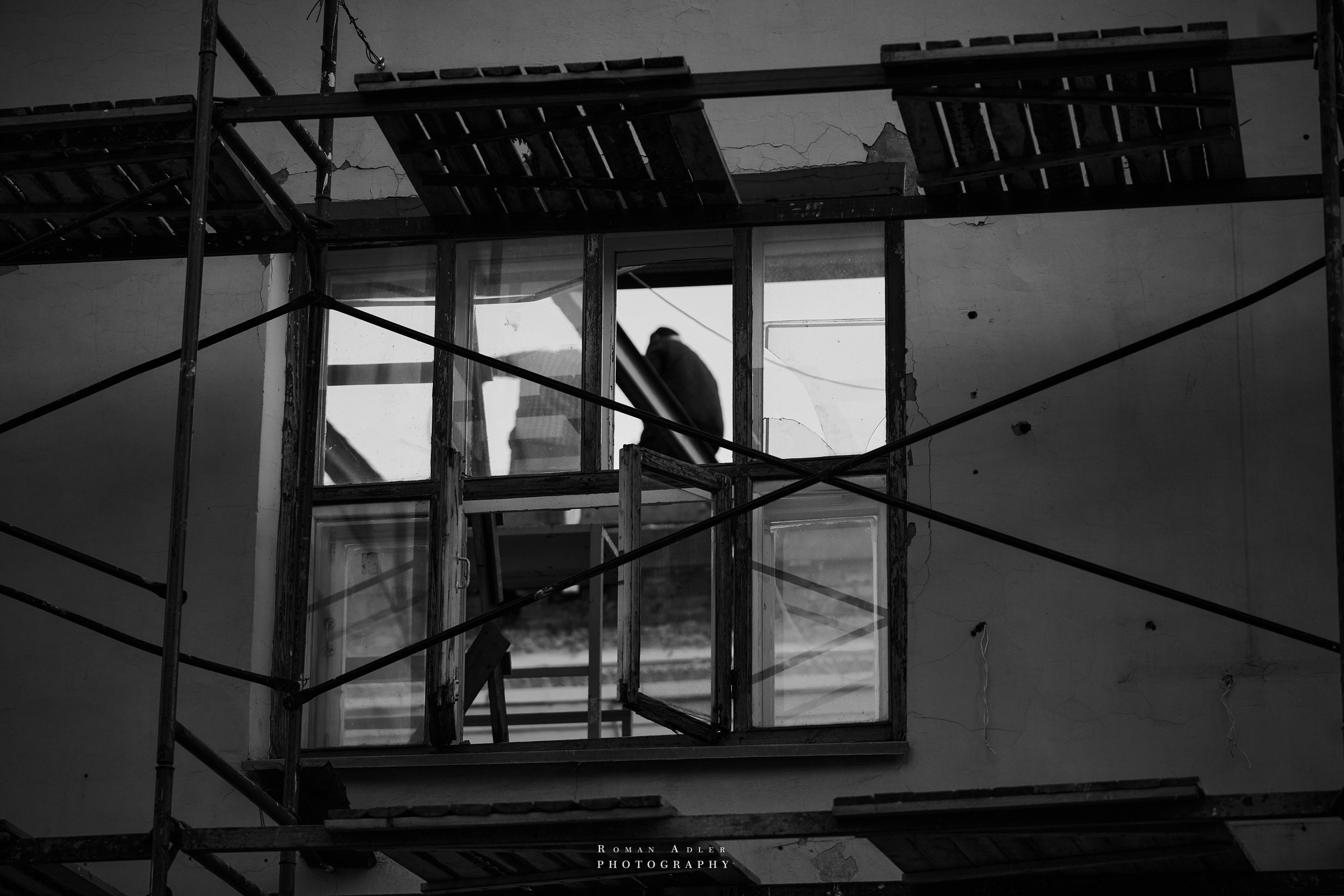 Рязань. Август 2025. Фотограф Роман Адлер