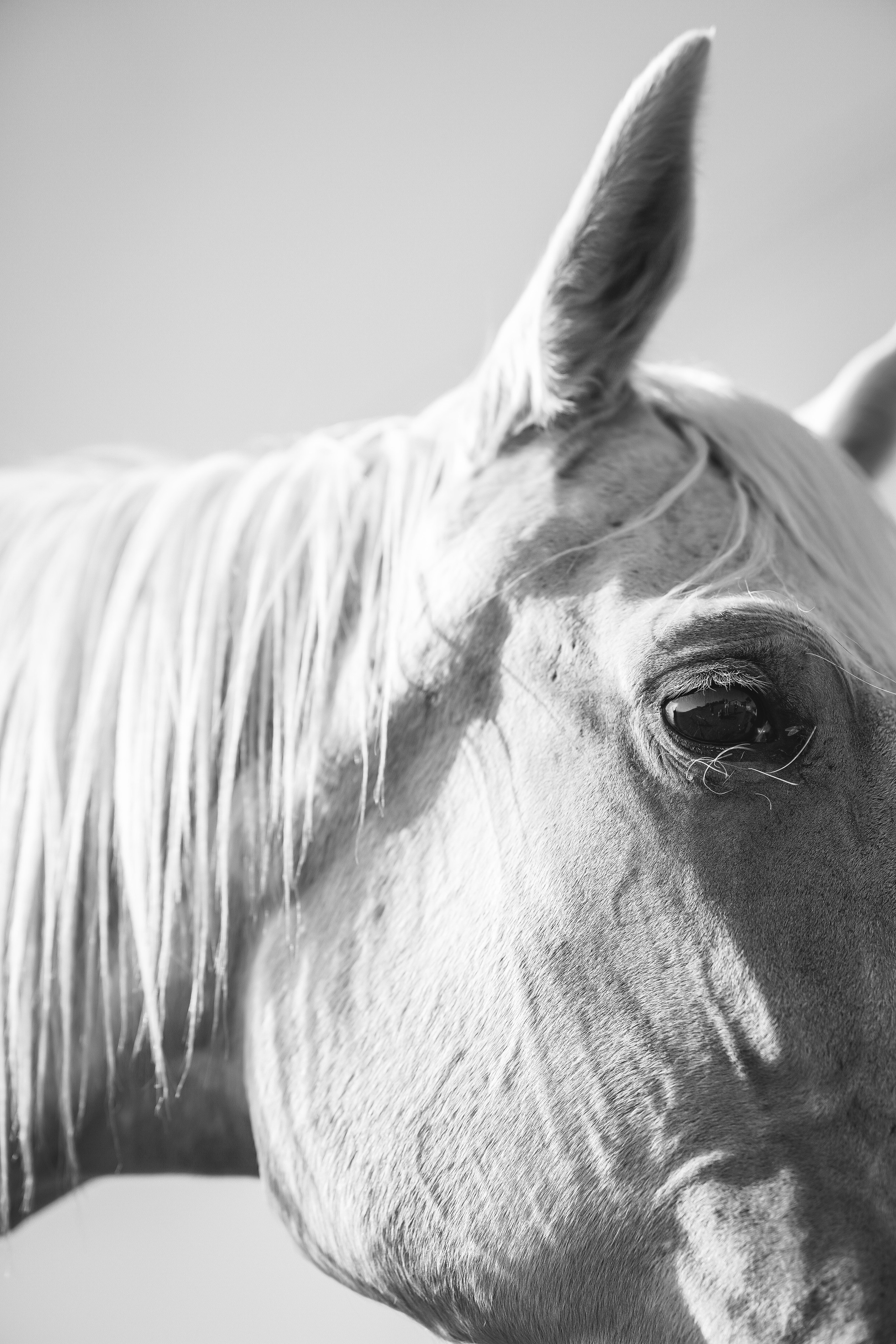 Каппадокия / Фото-тур