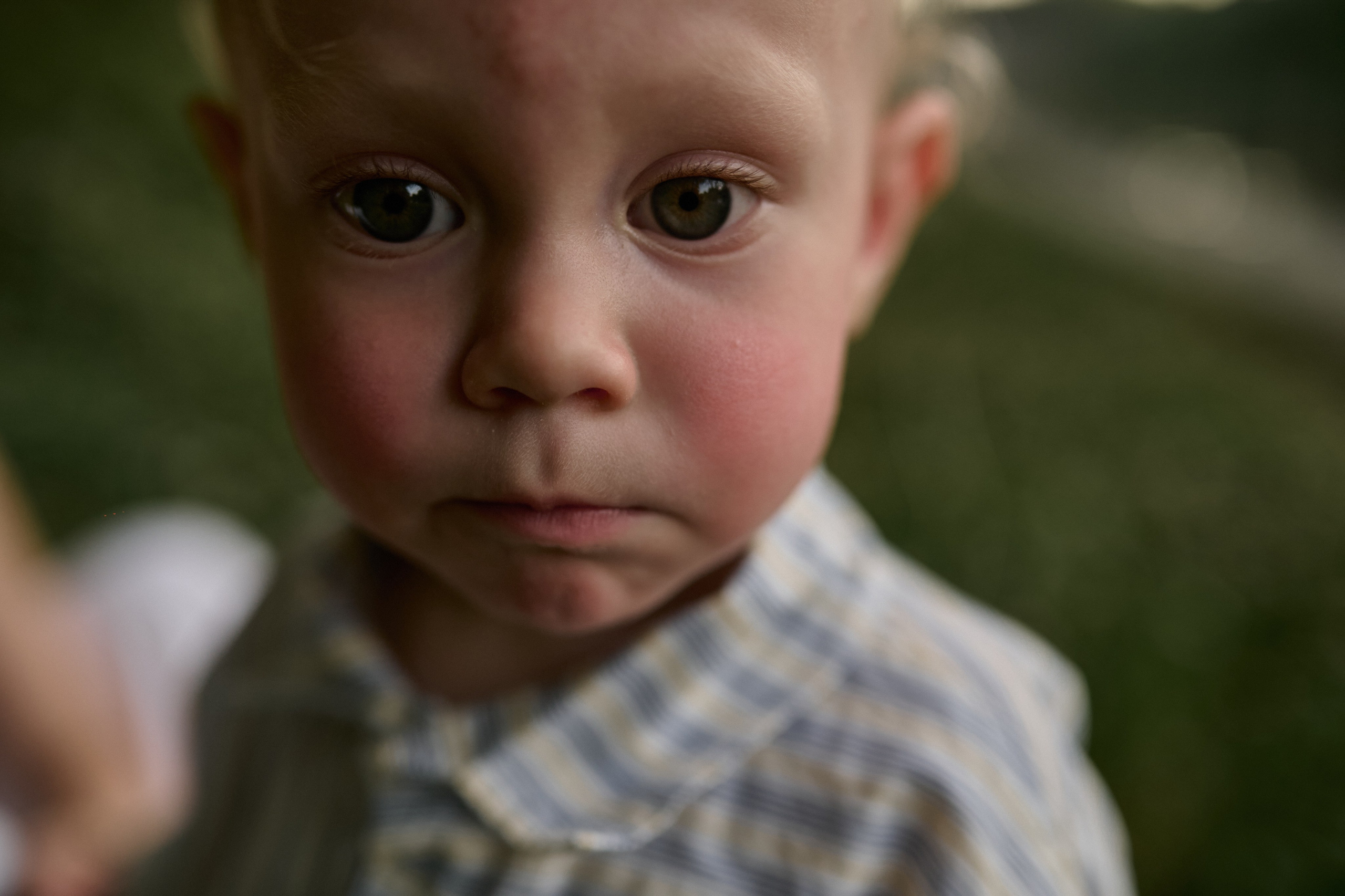 Сима и Яннис. Семейный и свадебный lifestyle-фотограф в Москве Мария Петрова