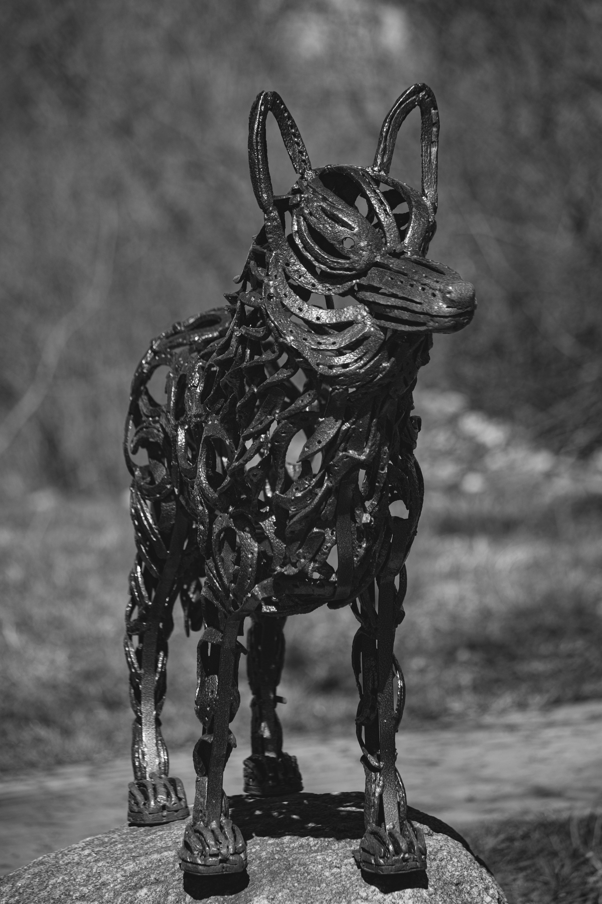 Ч \ Б. — Digital Noise —