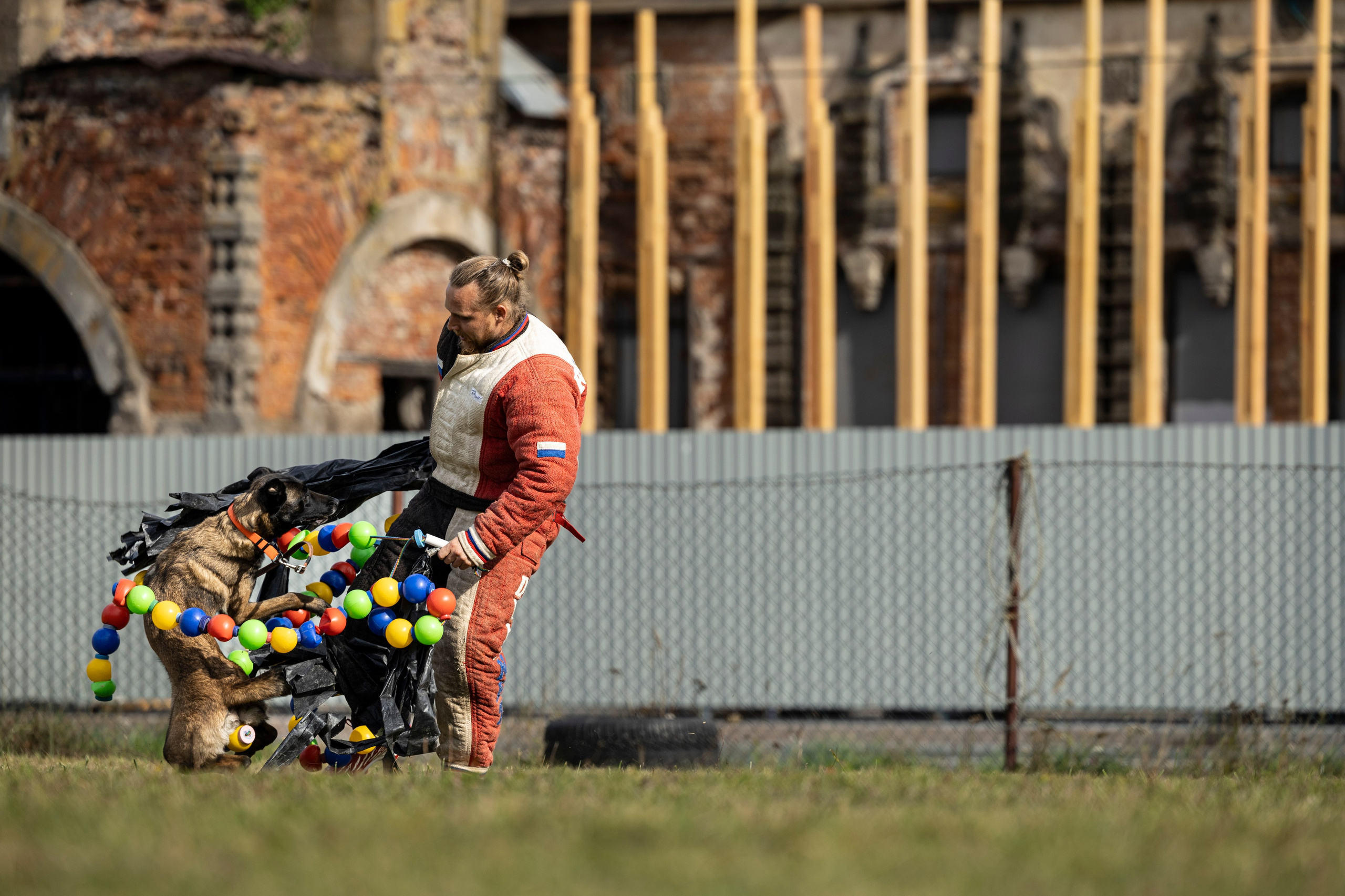 Испытания по Мондьорингу г. Пушкин. Фотограф-анималист Анна Маринич