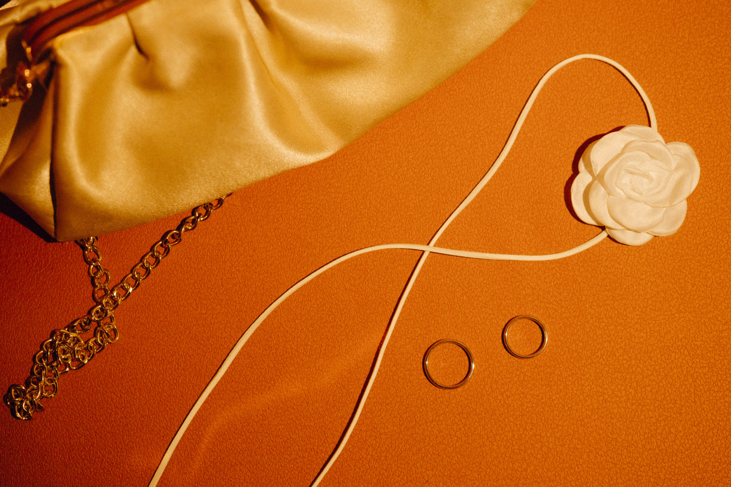 Софья и Владимир