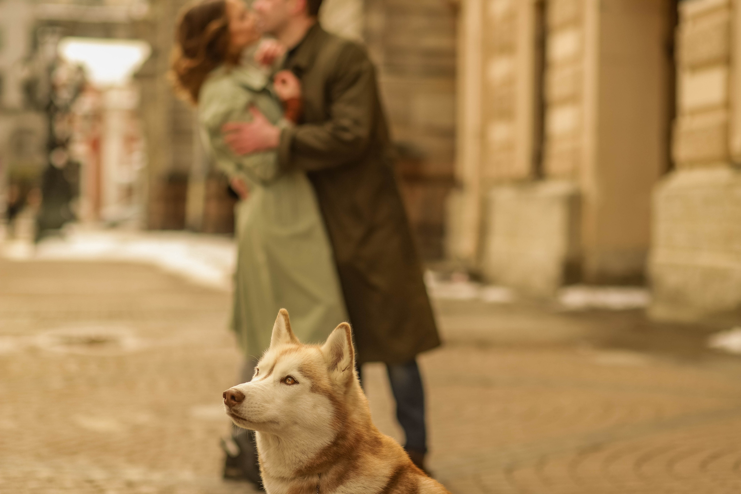 Лавстори. Семейный свадебный интерьерный фотограф Тверь Санкт- Марина Свистунова