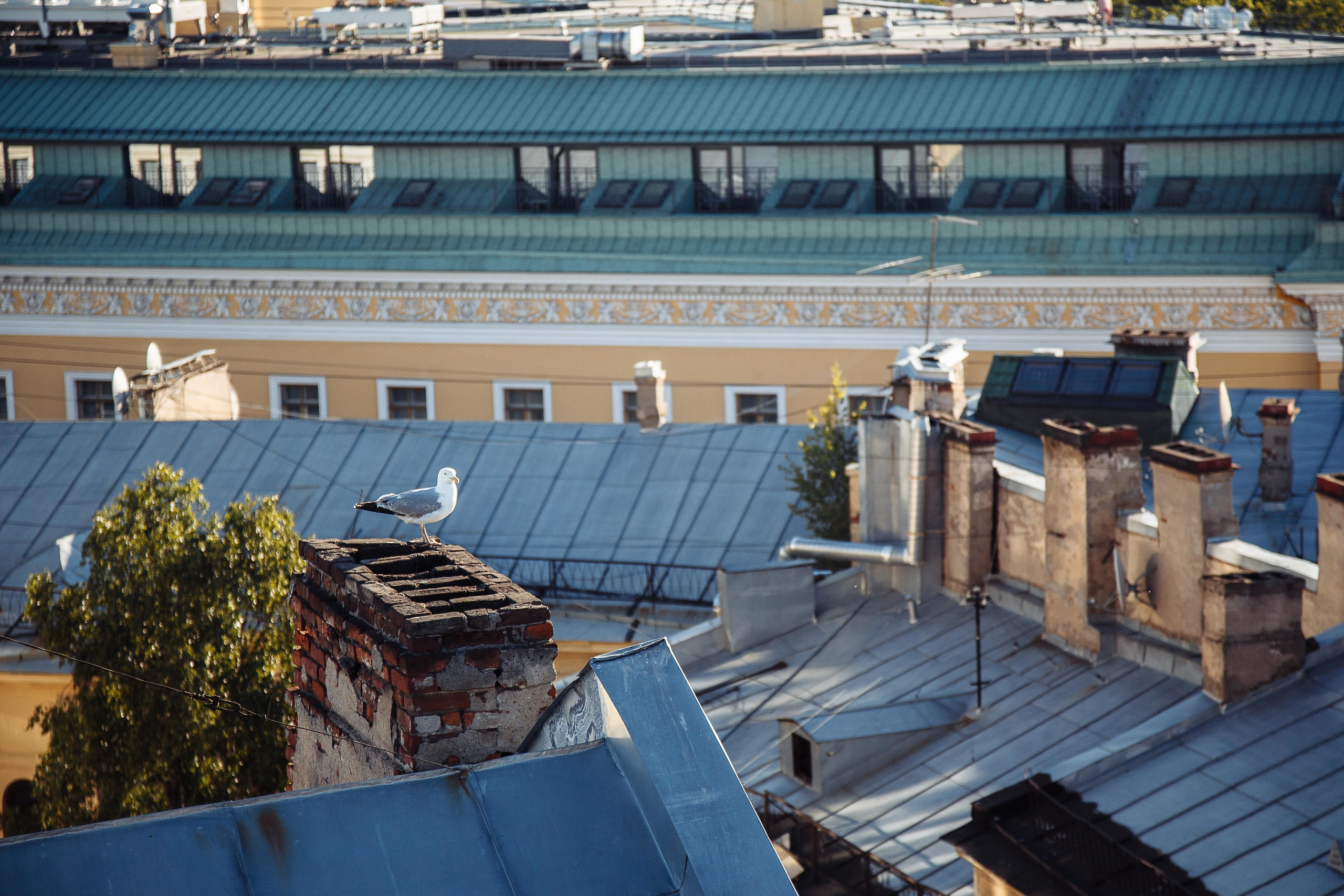 Анастасия и Олег. Свадебный фотограф Юлия Шторм