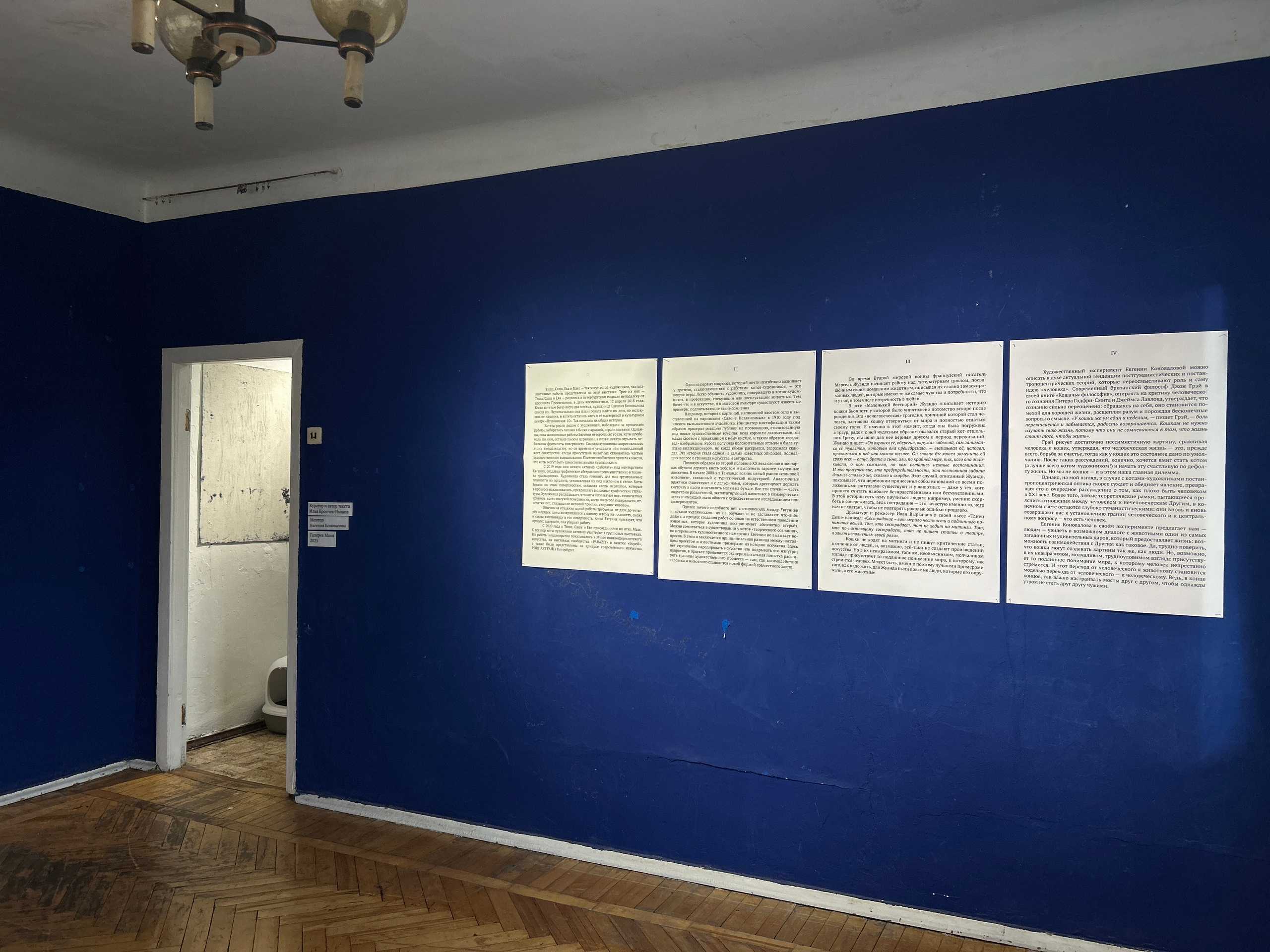 Коты-художники. Илья Крончев-Иванов