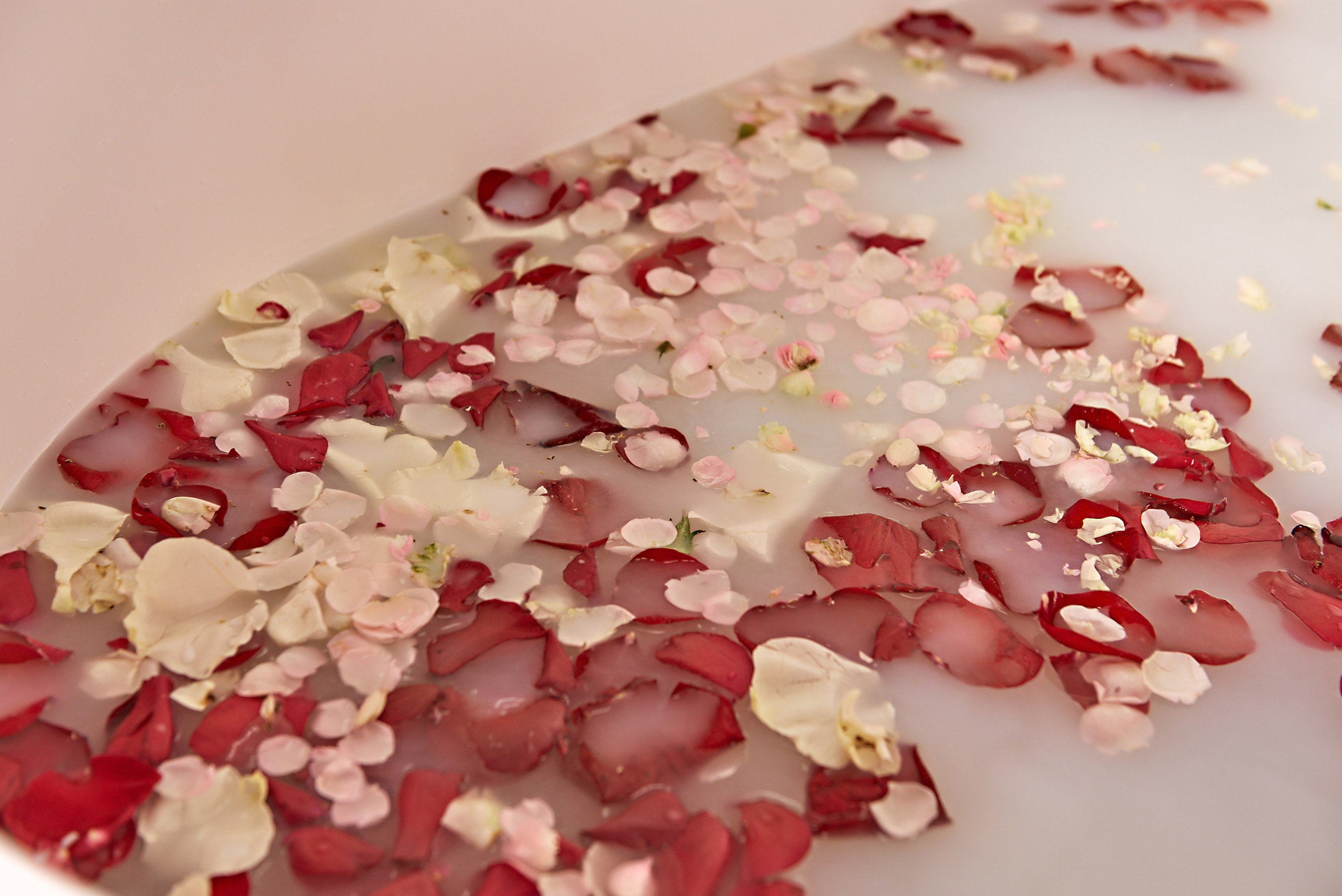 Алёна. Фотограф Катерина Устименко