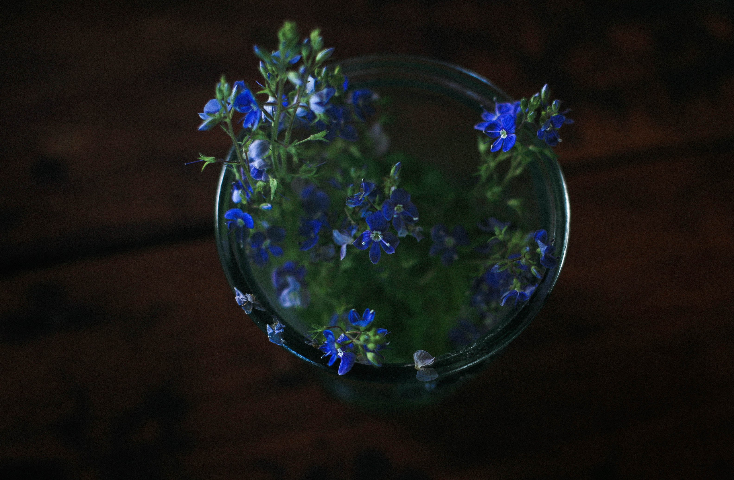 Курс «Психология на грядке». АRТ&PSY | Искусство психологии