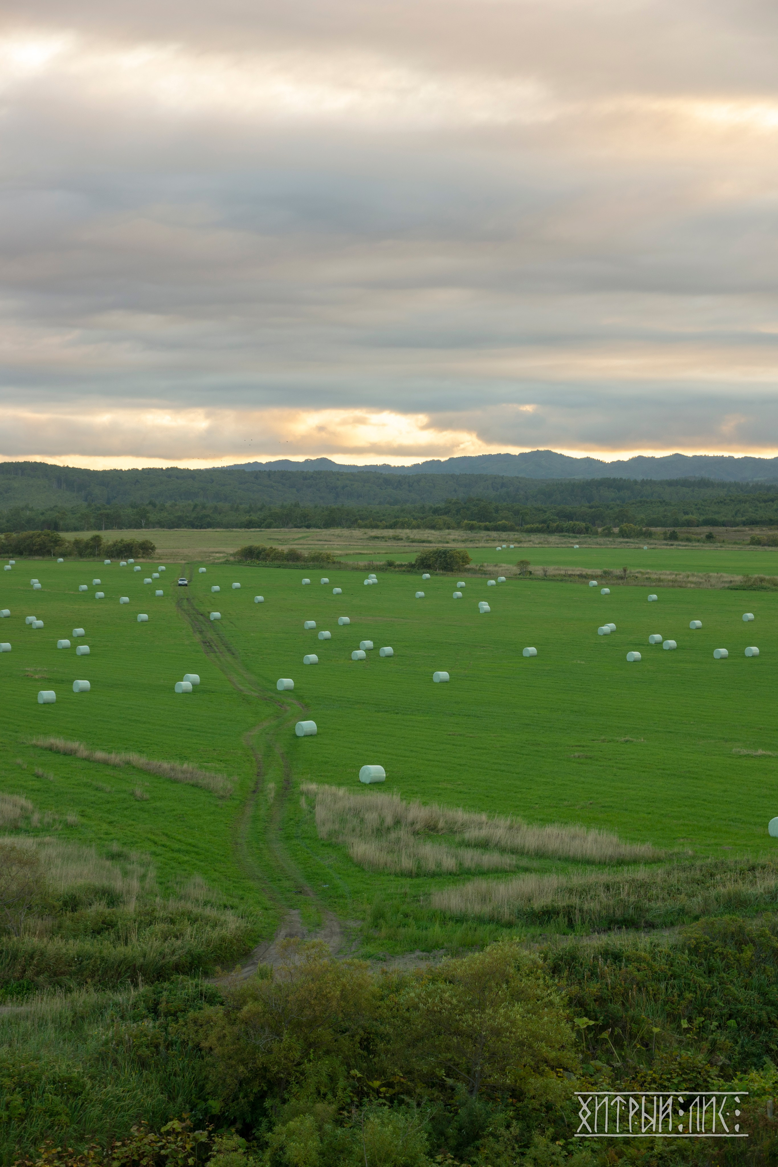Сахалин. Фотограф-путешественник Самойлов Максим «Sly Fox»