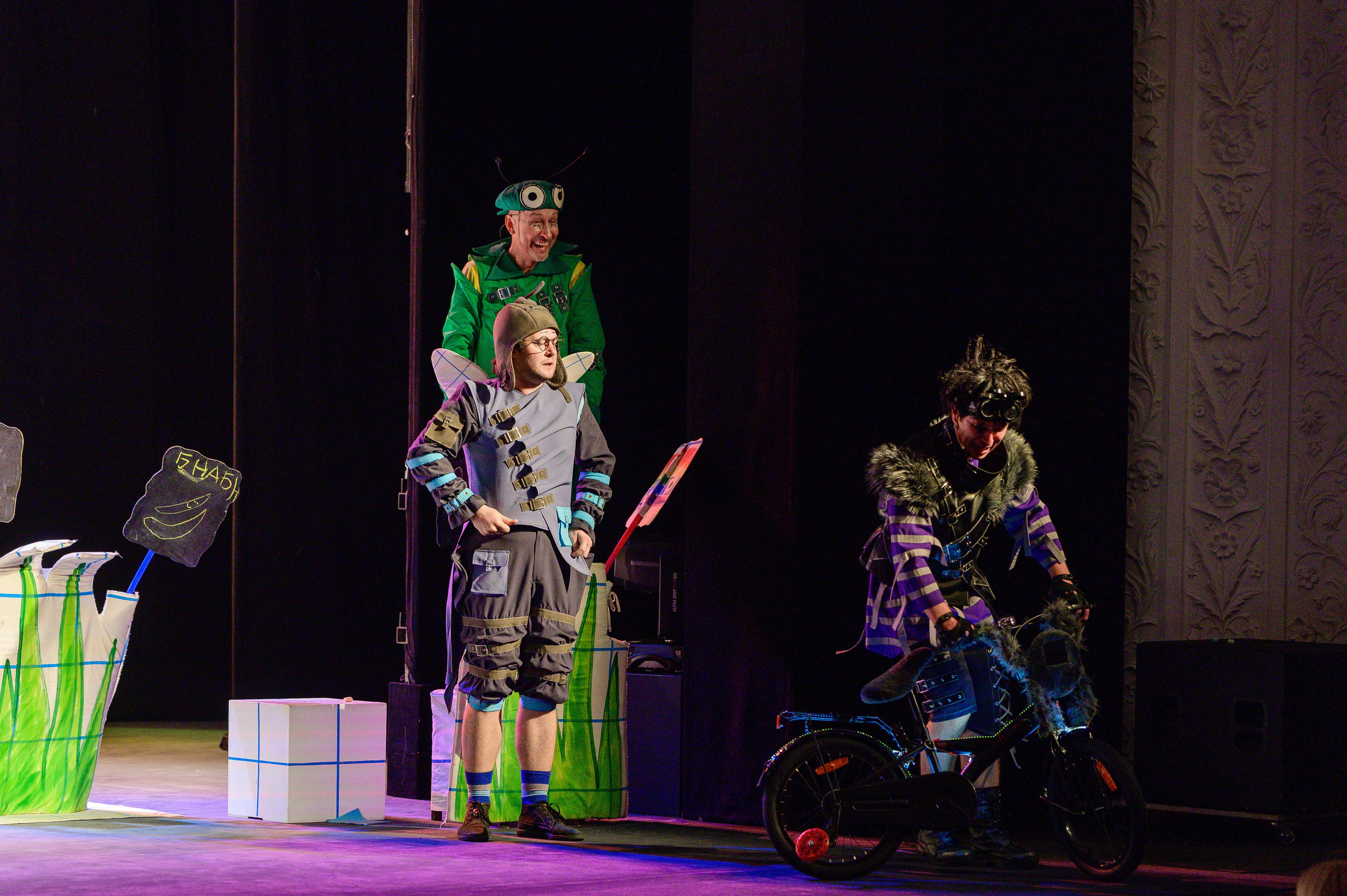 Муха Цокотуха. Фотоуслуги, услуги фотографа, фотографирование важных событий