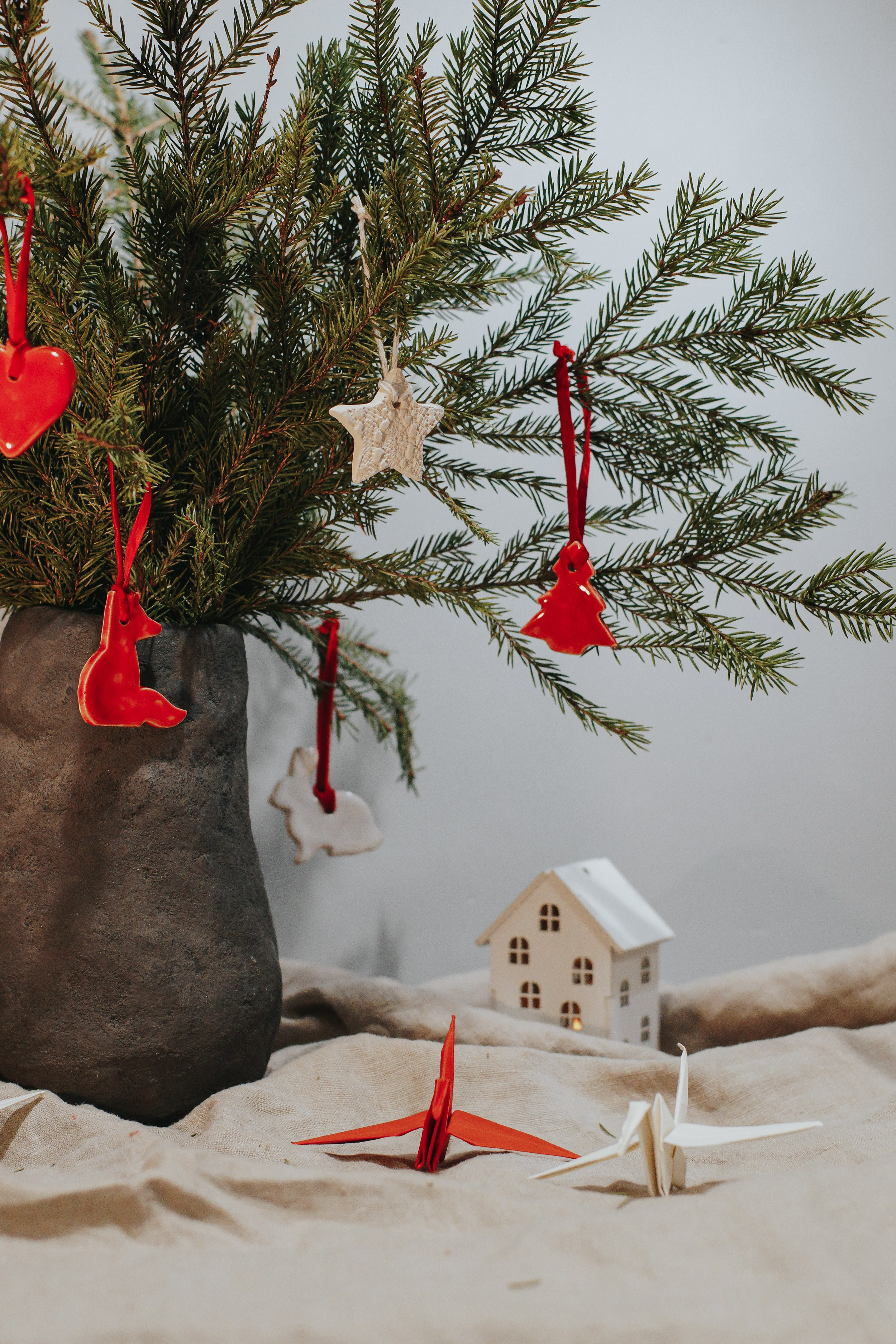 Магазин NOOK. Катя Кудринская. Фотограф на мероприятие СПб. Семейный фотограф