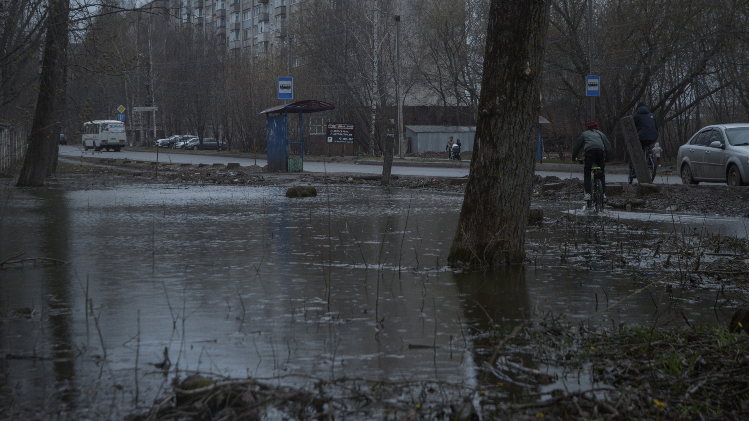 «П.ДД.Н». Fedor Kalinin