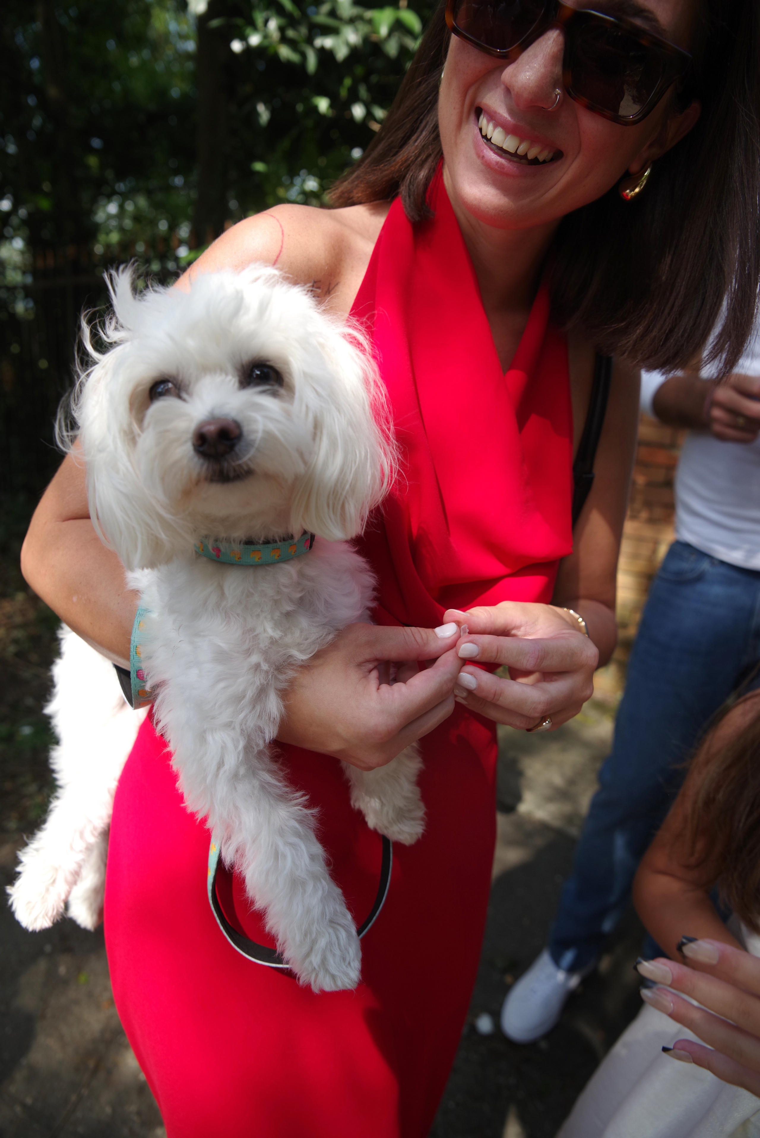 ლამაზი ქორწილი. Портретный фотограф Денис Милютин