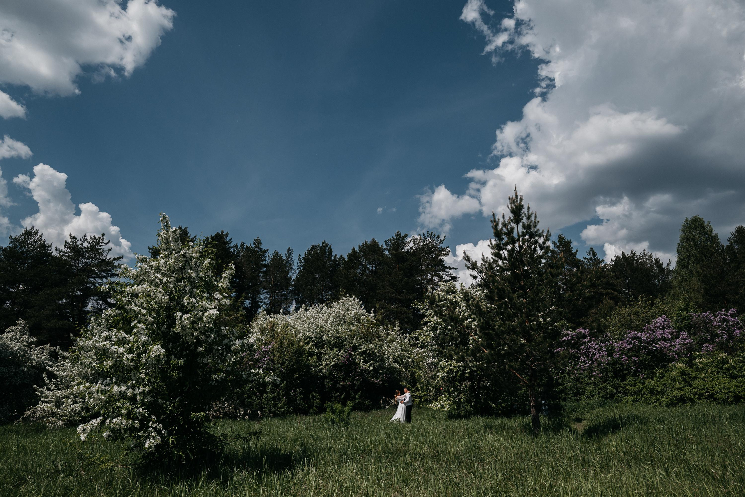 Свадебная прогулка в цветущих яблонях. Свадебный фотограф Ижевск Петр Шишков