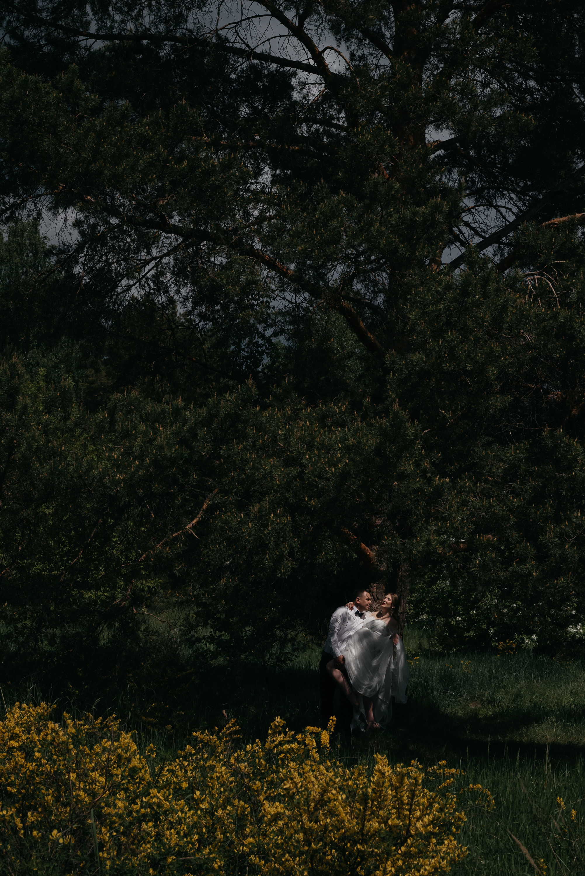 Свадебная прогулка в цветущих яблонях. Свадебный фотограф Ижевск Петр Шишков
