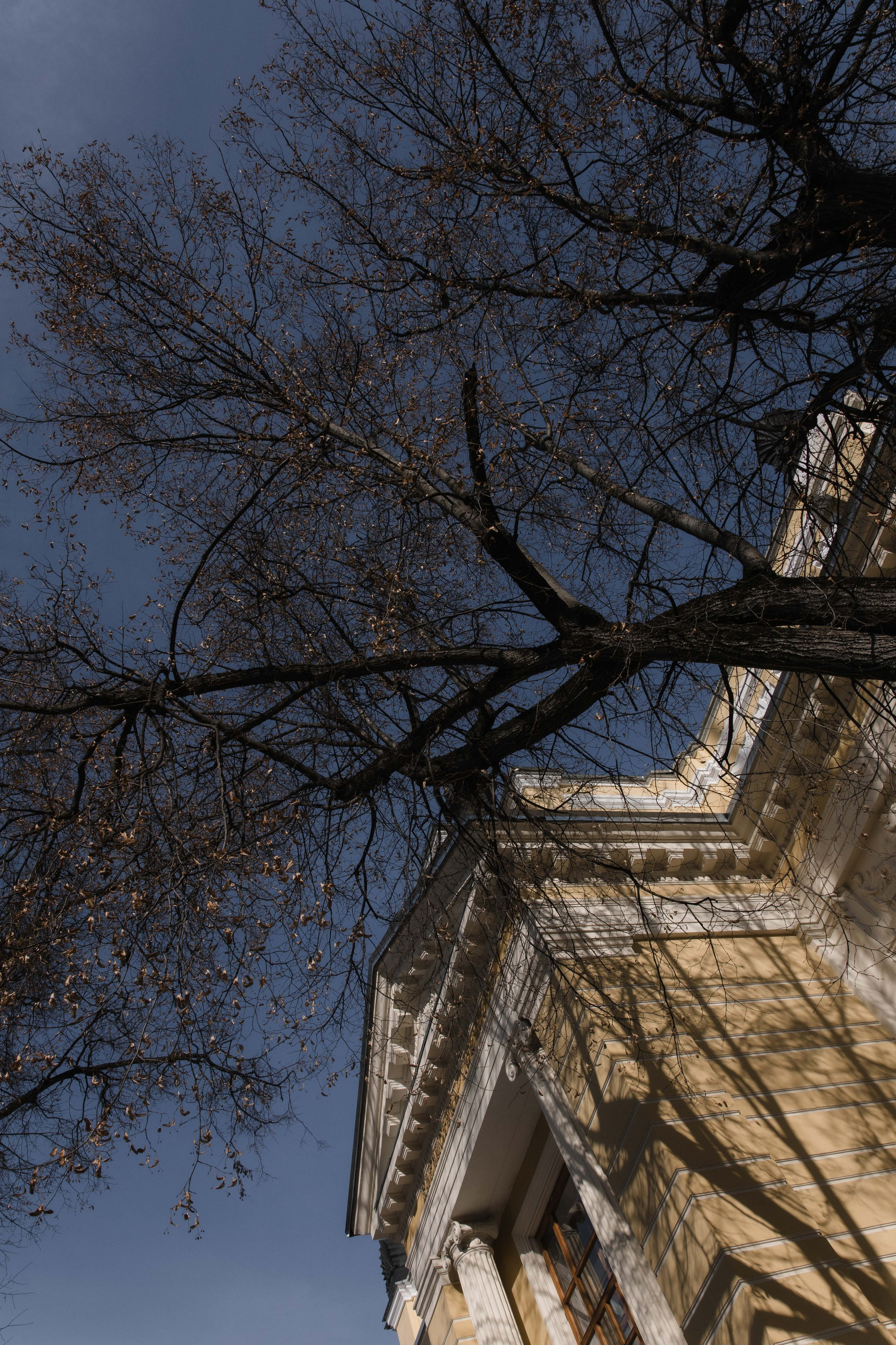 Л&В библиотека Боголюбова. Женский и свадебный фотограф Москва Елизавета Перова