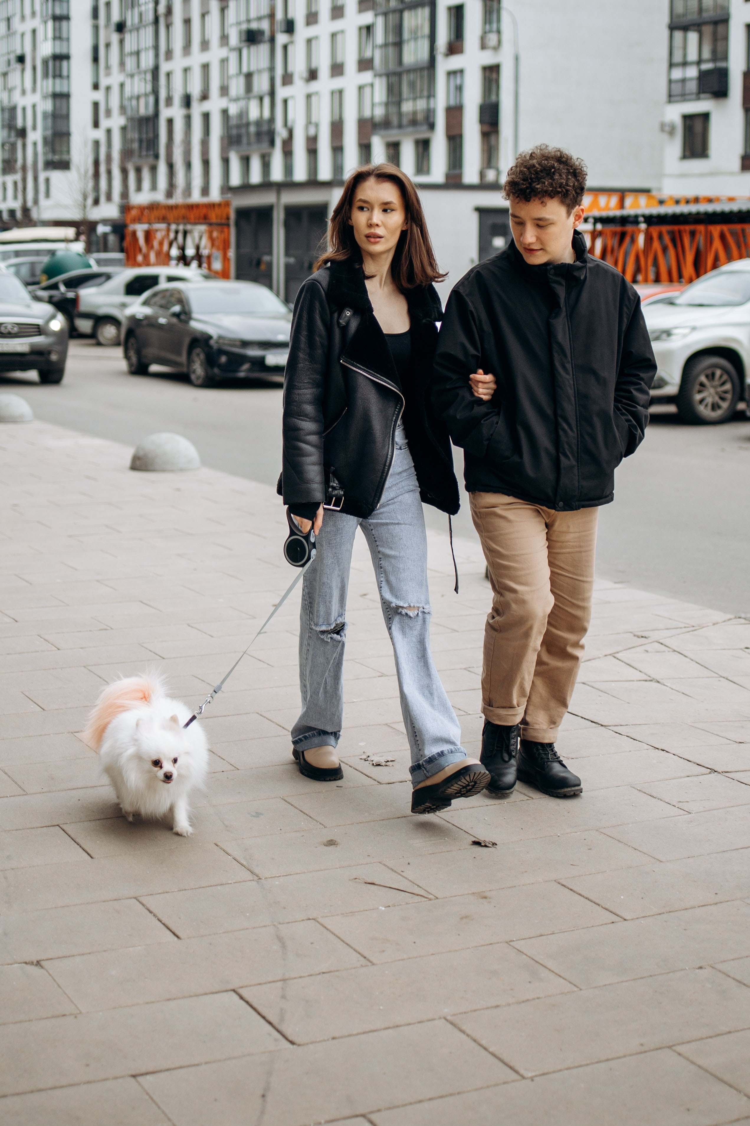 Шпиц Мася и ее семья