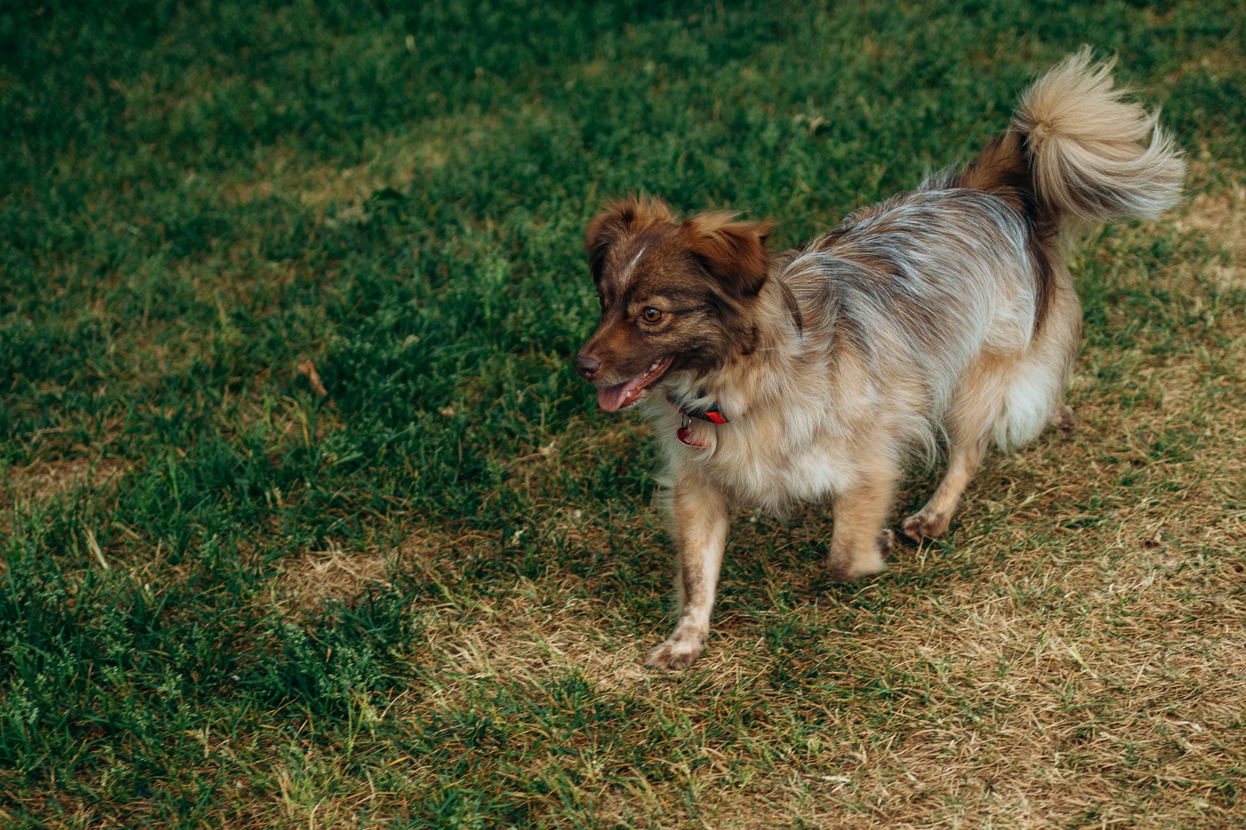 Дарья и Ассоль