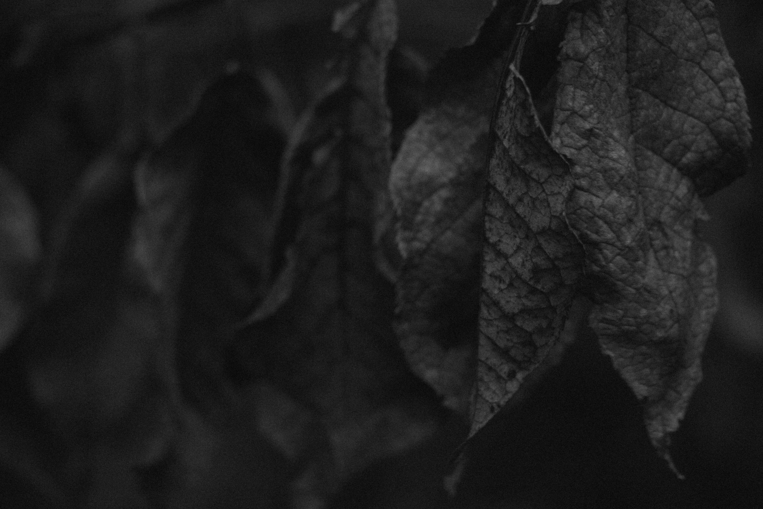 Интимный пейзаж. Олег Романов. Мастер фото по спорту