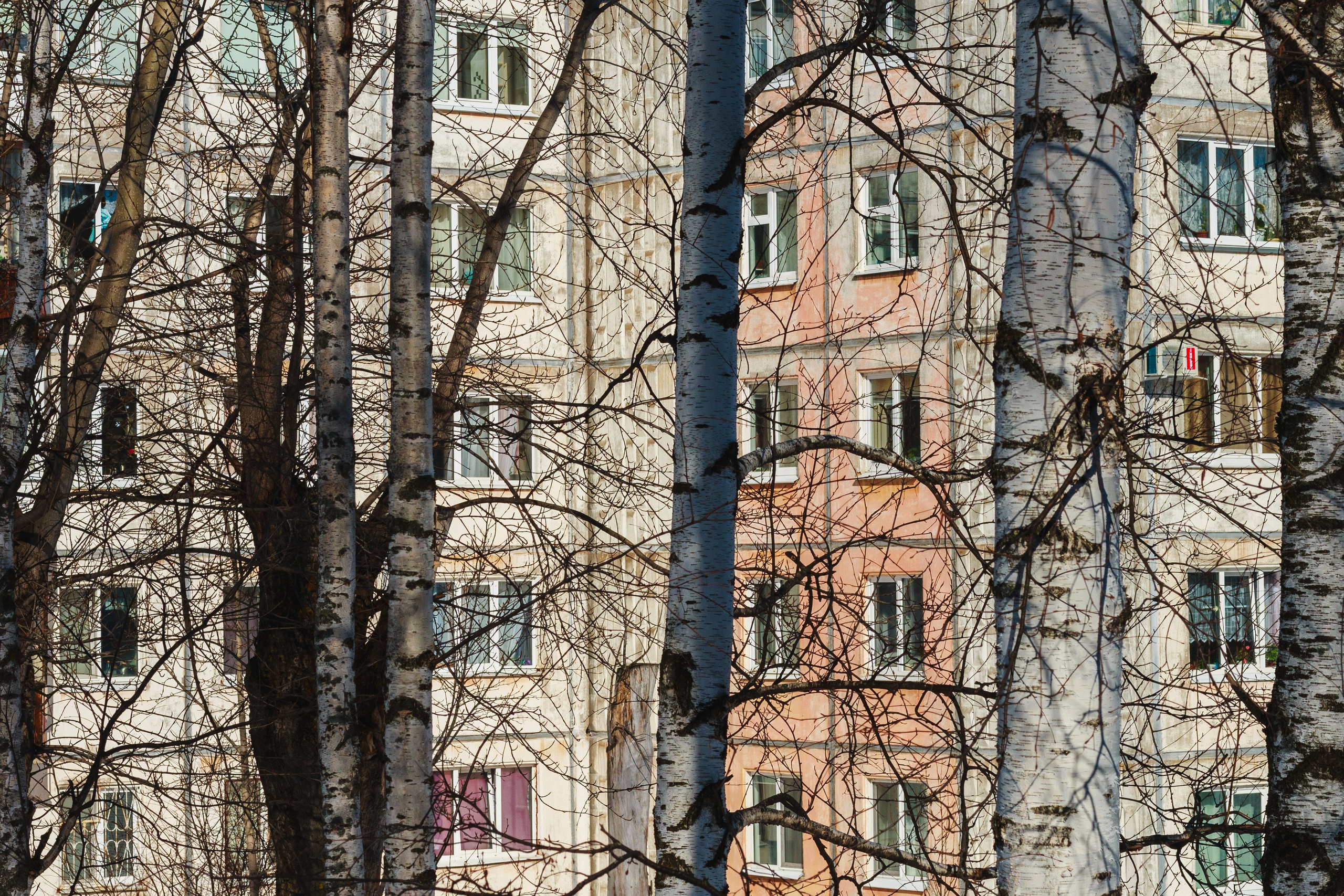 Родные узоры. Россия. Олег Романов. Мастер фото по спорту