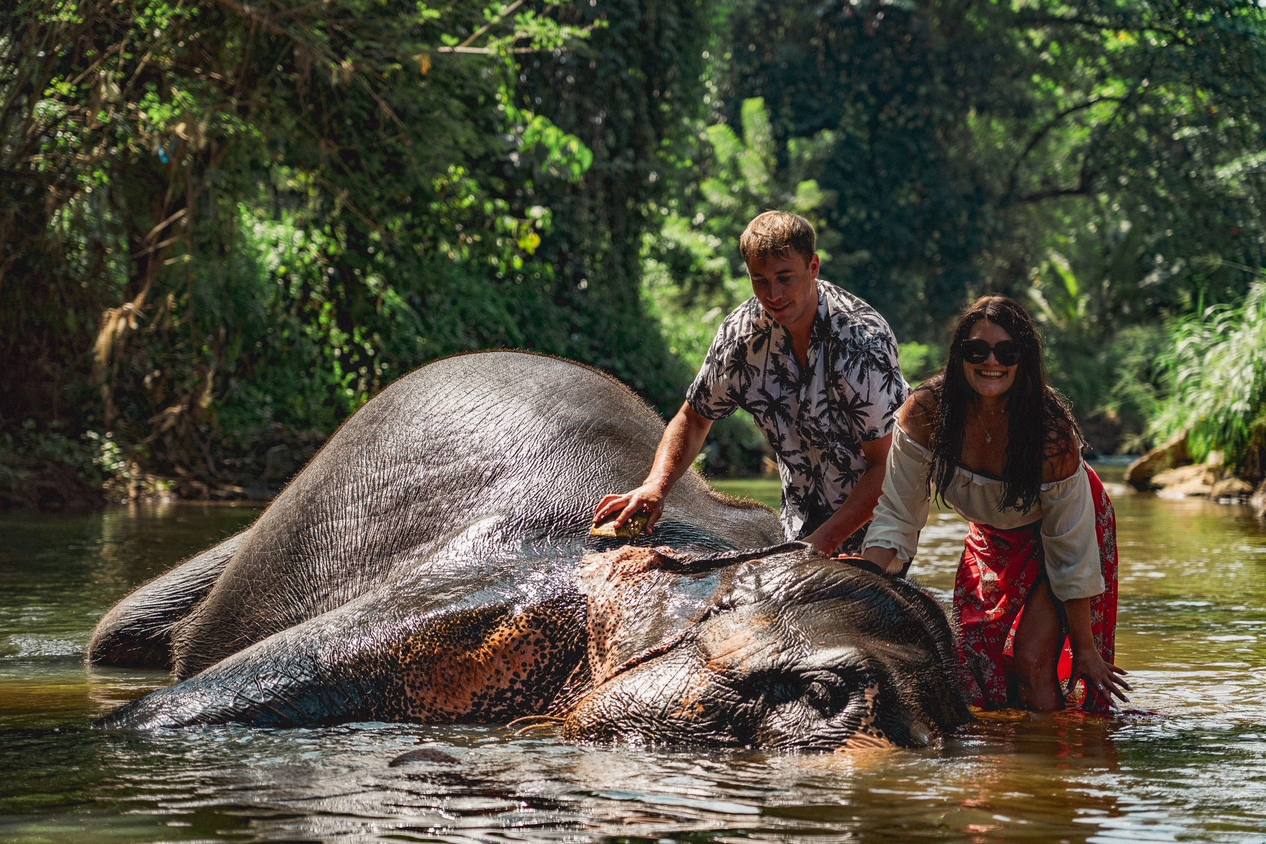 Bathing with elephants in Pinnawala, Botanical Garden