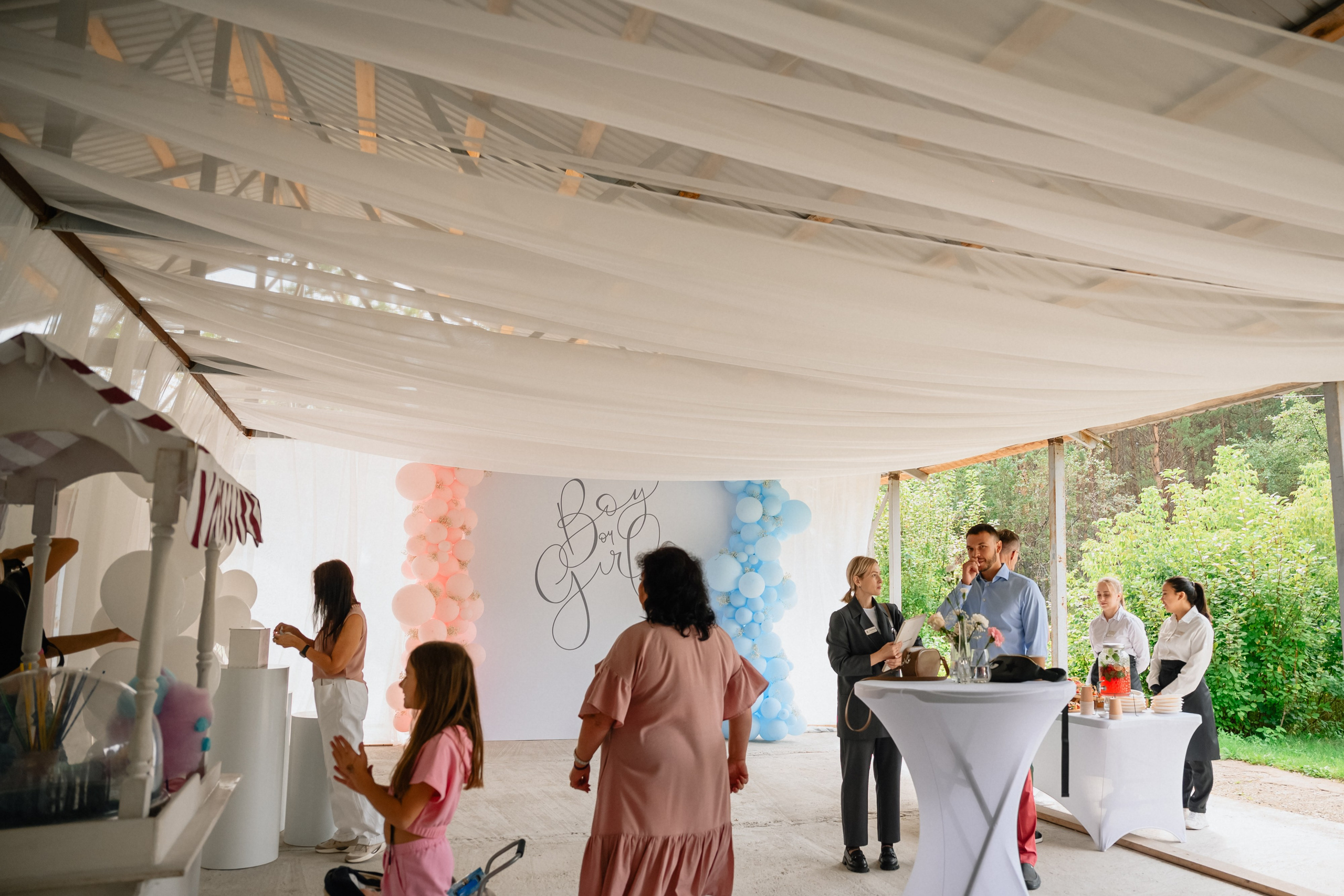 Гендер Пати. Организатор Романова Любовь