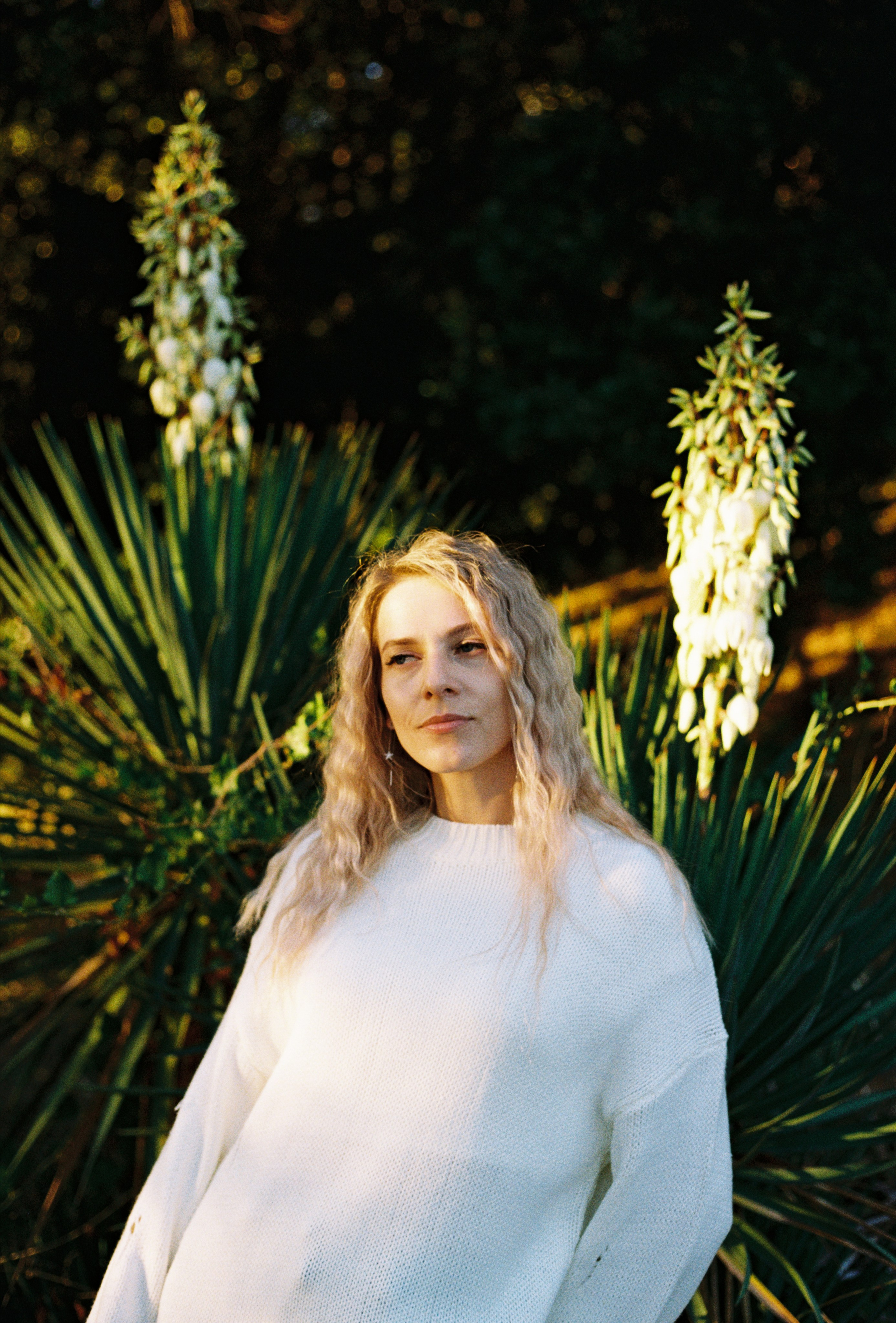 Плёнка. Главная