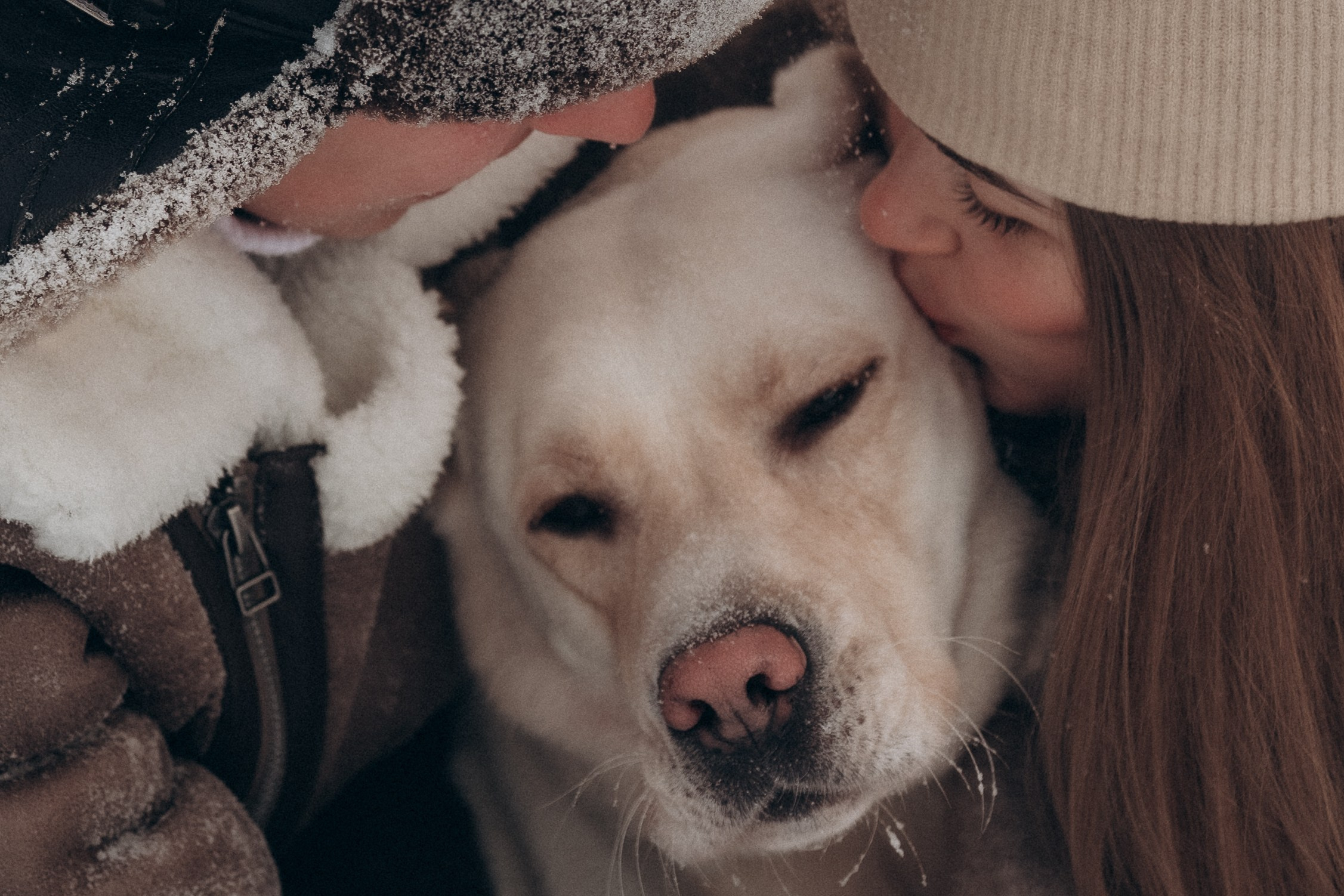 Анна, Влад и Рони. Семейный фотограф в Москве Дарья Пузикова