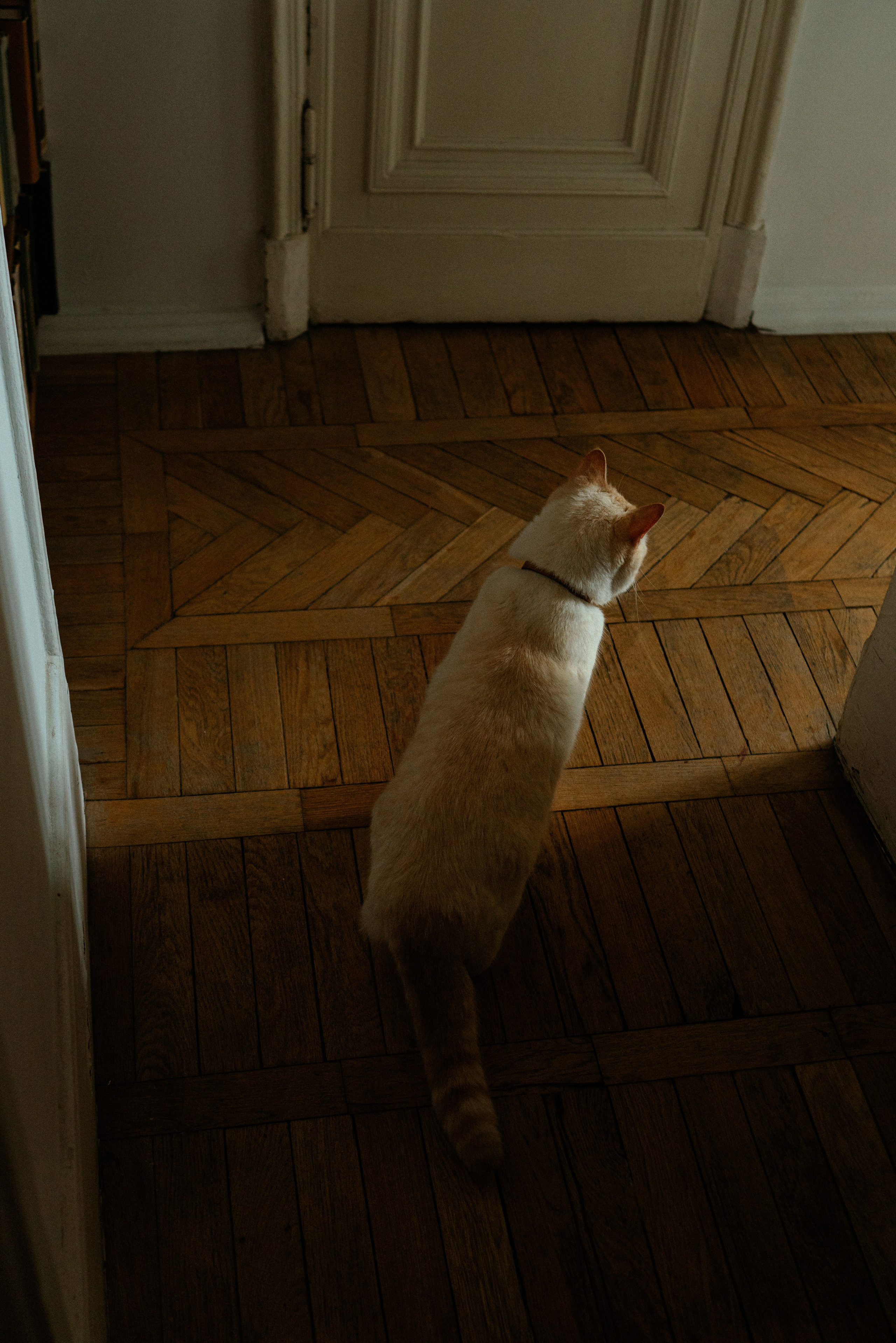 Проект «Я уже выхожу». Женский фотограф в Москве Анастасия Сидорова