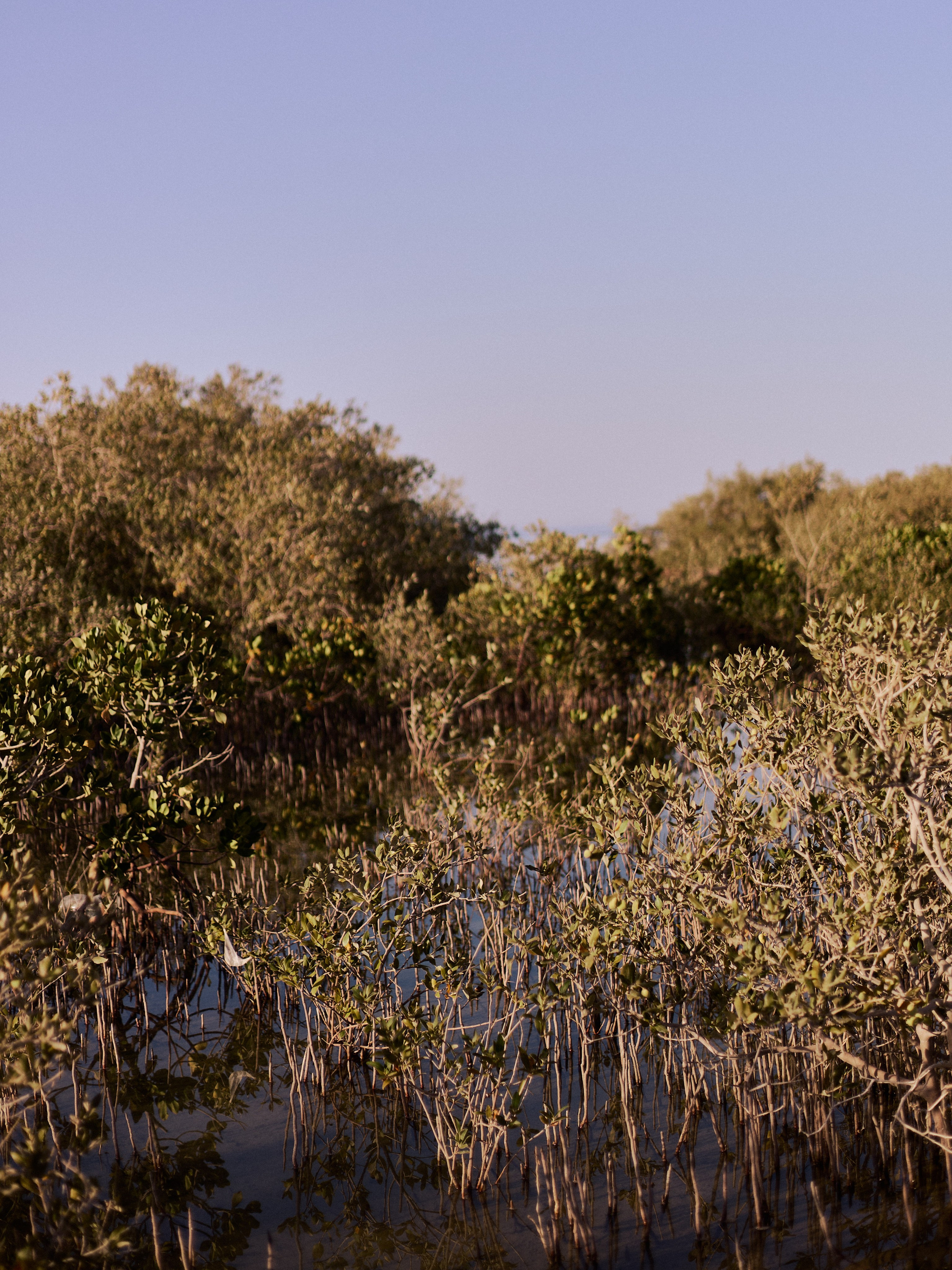Диптих. Jorgis — фотограф в Хургаде / обучение фотографии