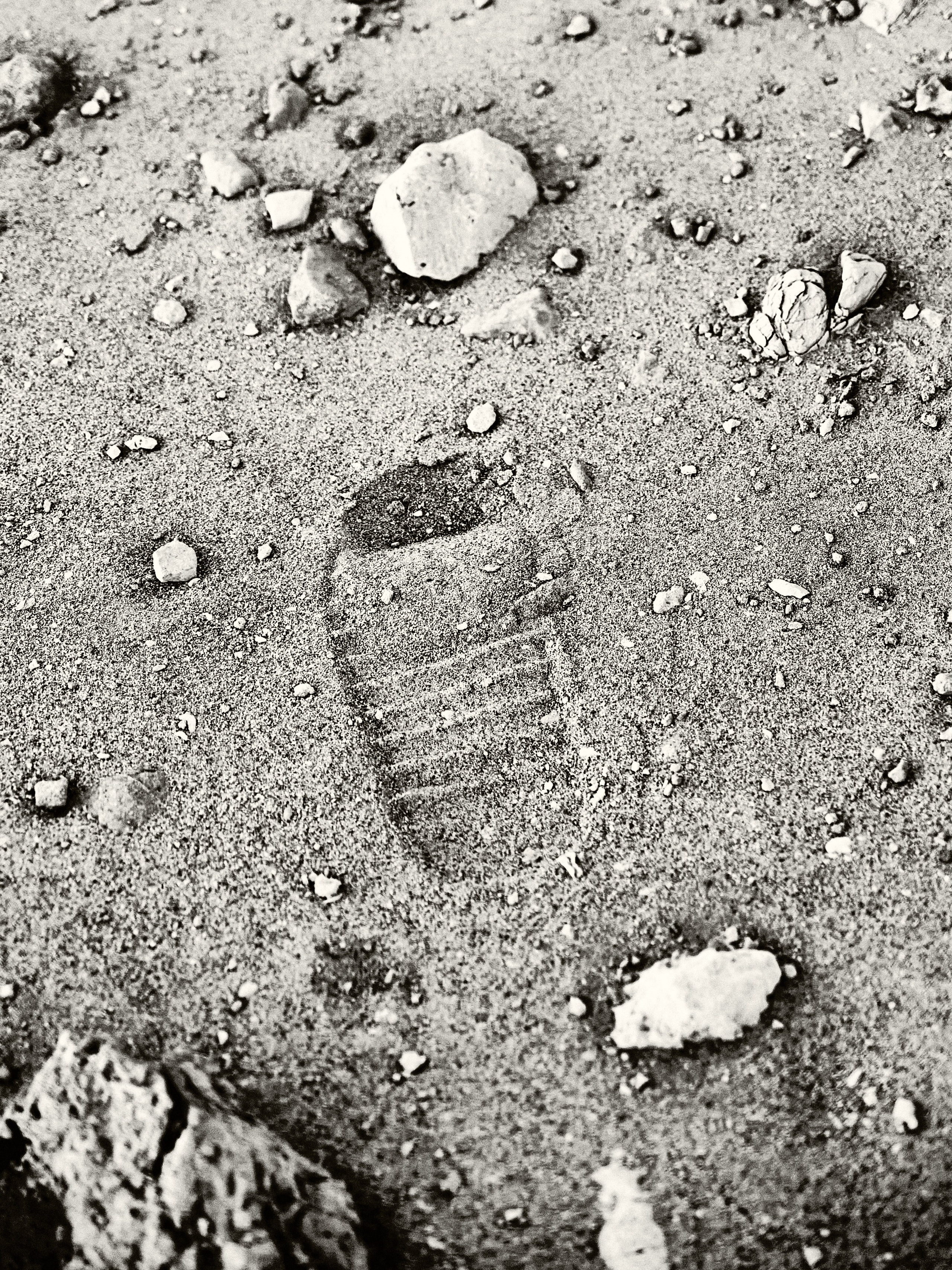 B&W. Jorgis — фотограф в Хургаде / обучение фотографии