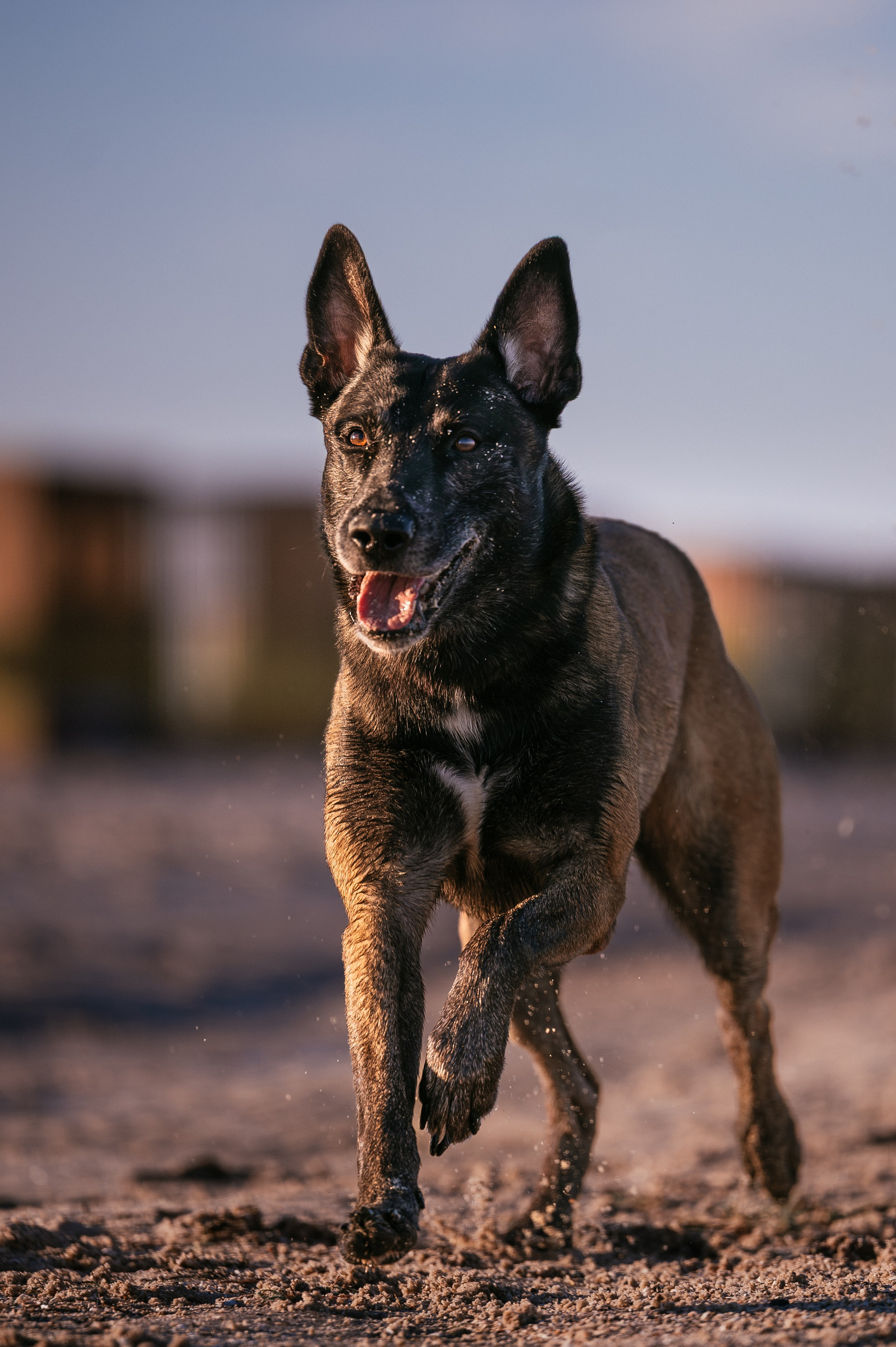 Вечер на заливе. Фотограф в Ростове —на — Дону
