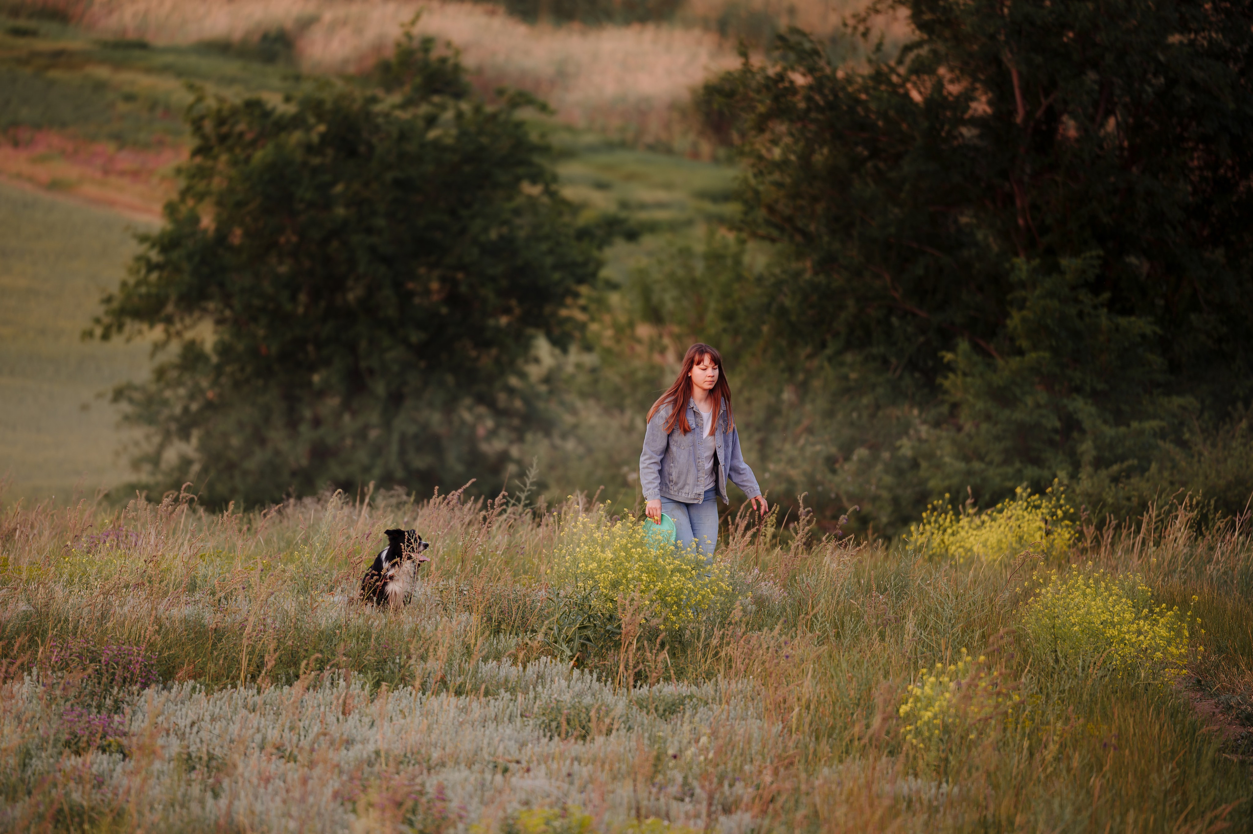 Прогулка на рассвете с бордер-колли. Фотограф в Ростове —на — Дону