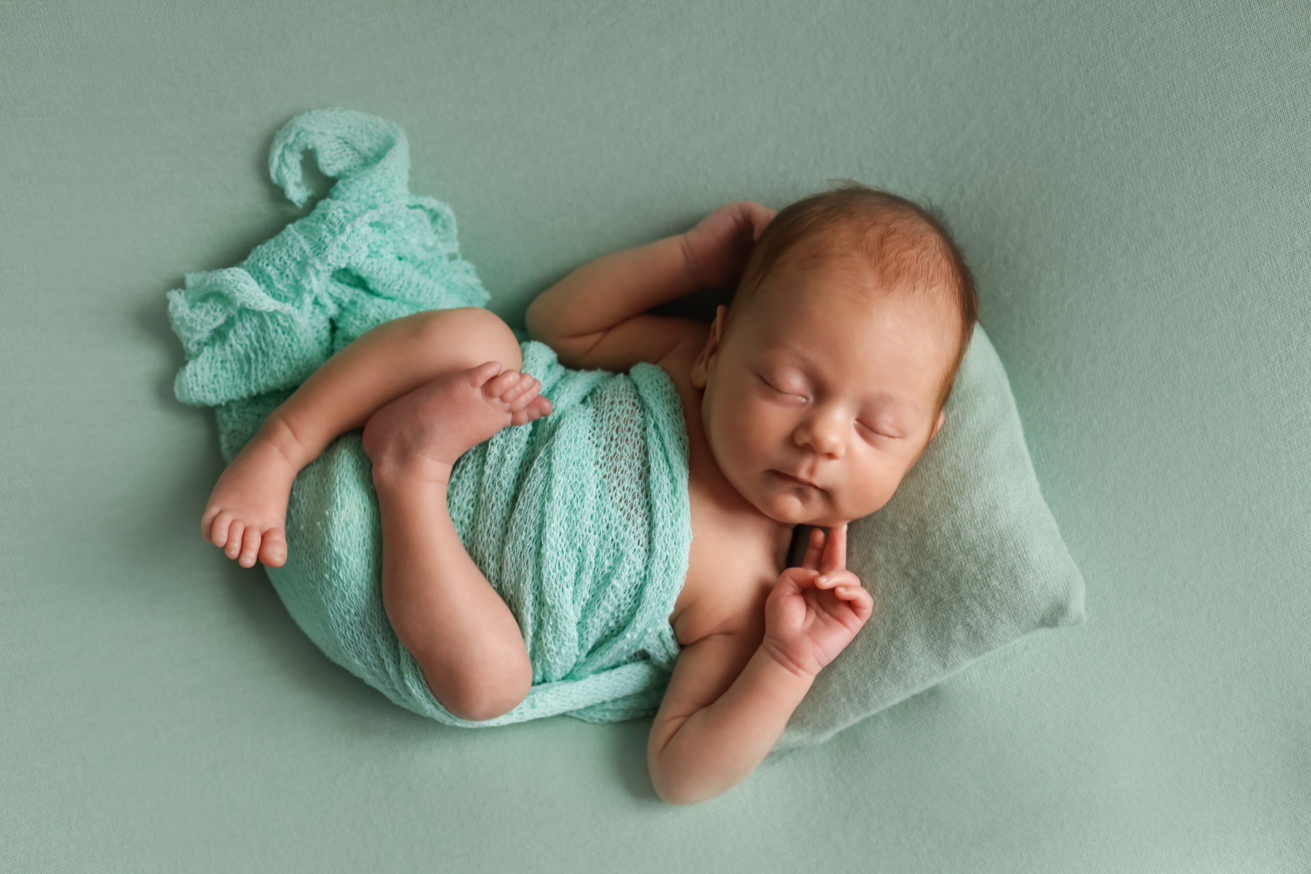 Константин 14 дней. Семейный фотограф и фотограф новорожденных в Санкт-Петербурге Алина Фе