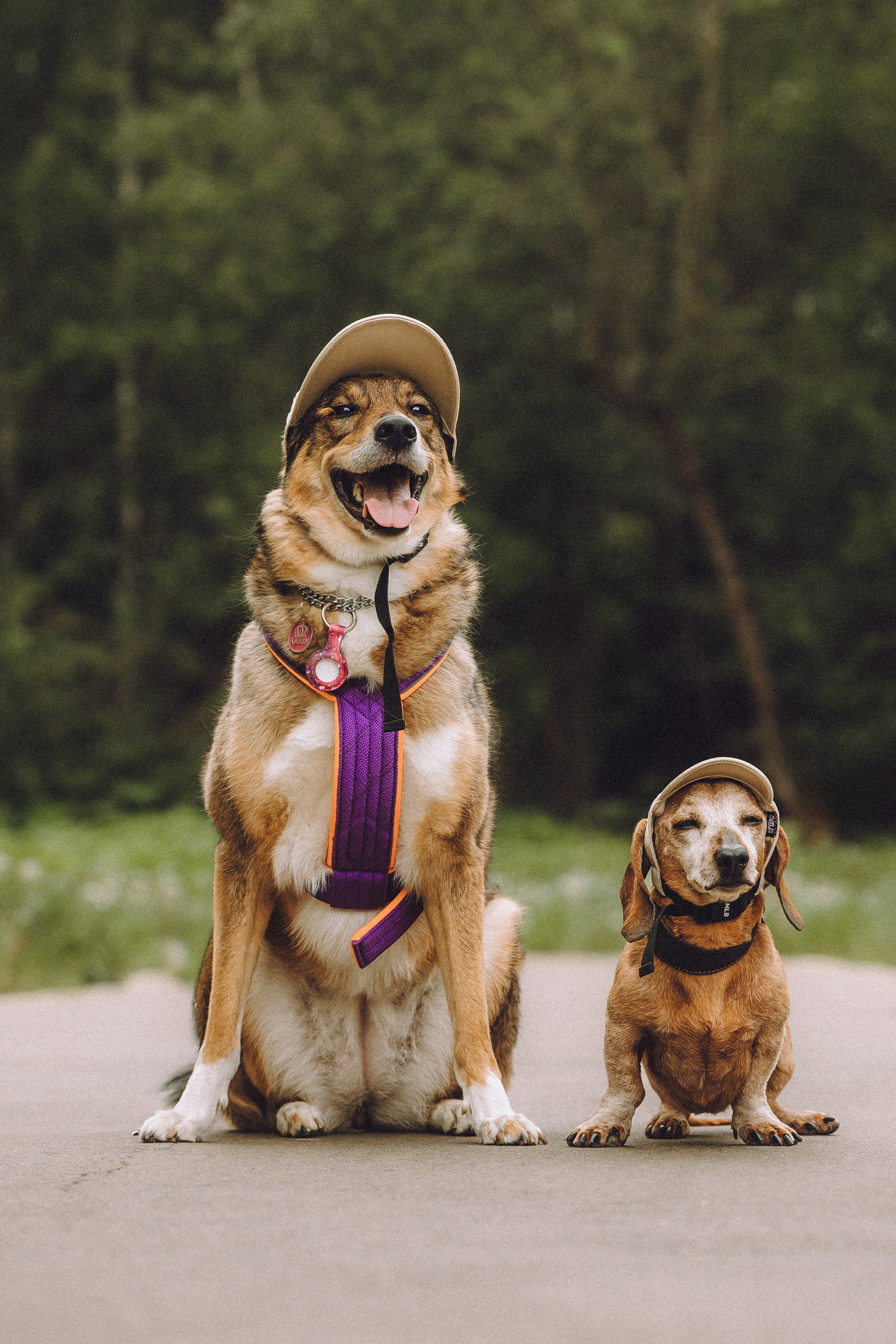 Груша, Данни, Фунтик и их семья