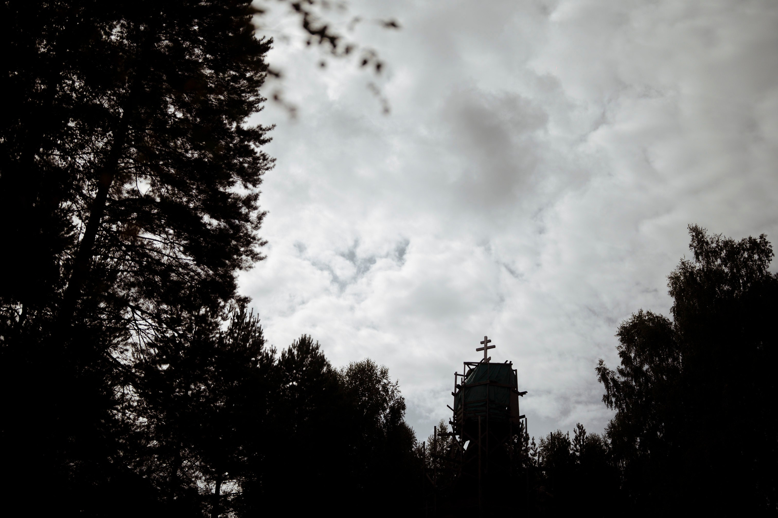 Сюжет № 12|Волкова Дарья