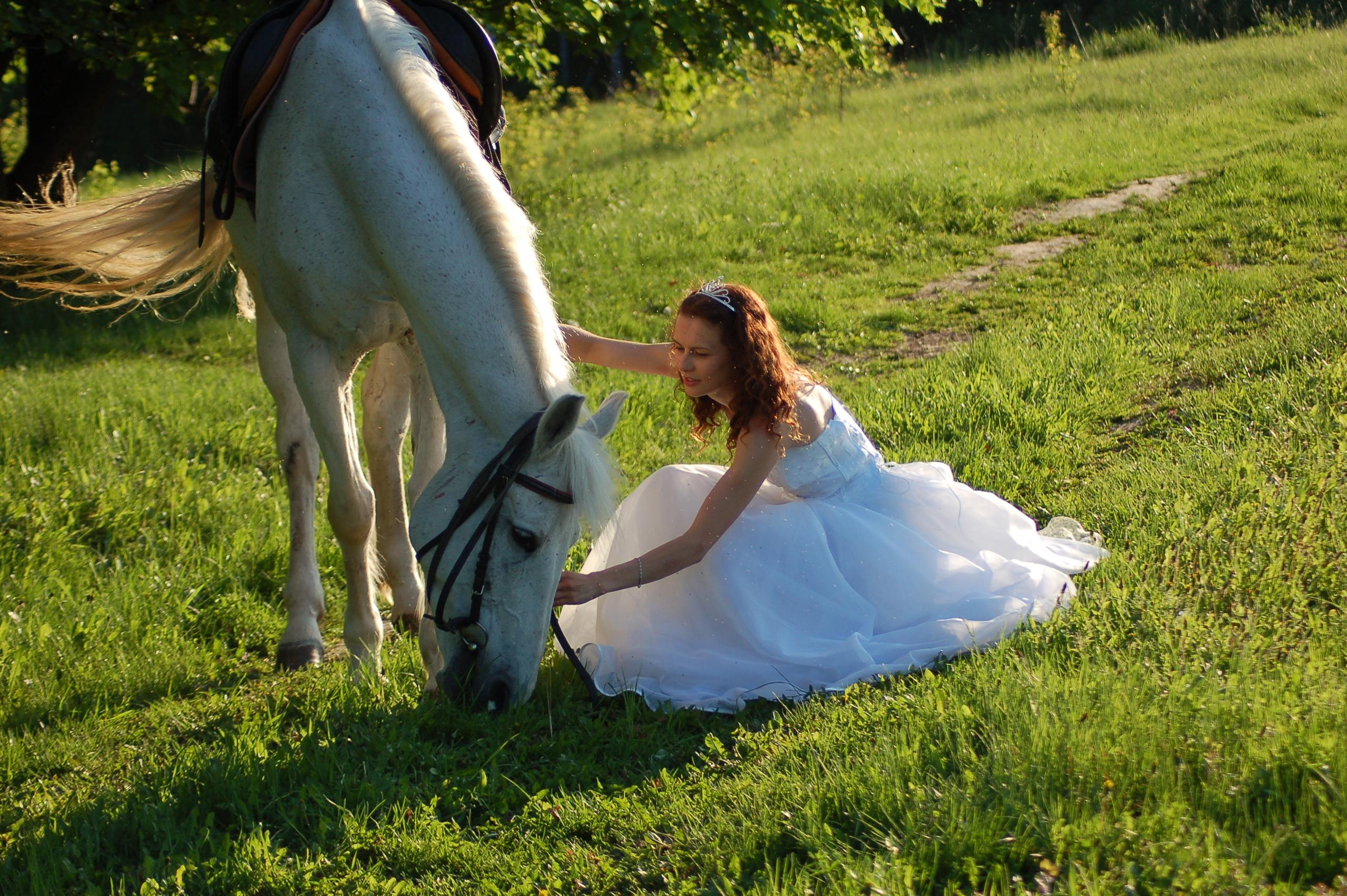 Фотосессии на природе. Фотостудия Портрет Свадебный и семейный фотограф в Рязани
