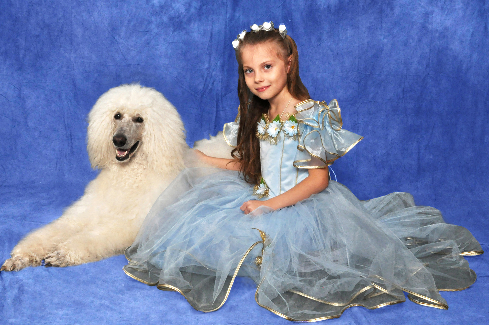 Праздник с пуделем. Фотостудия Портрет Свадебный и семейный фотограф в Рязани