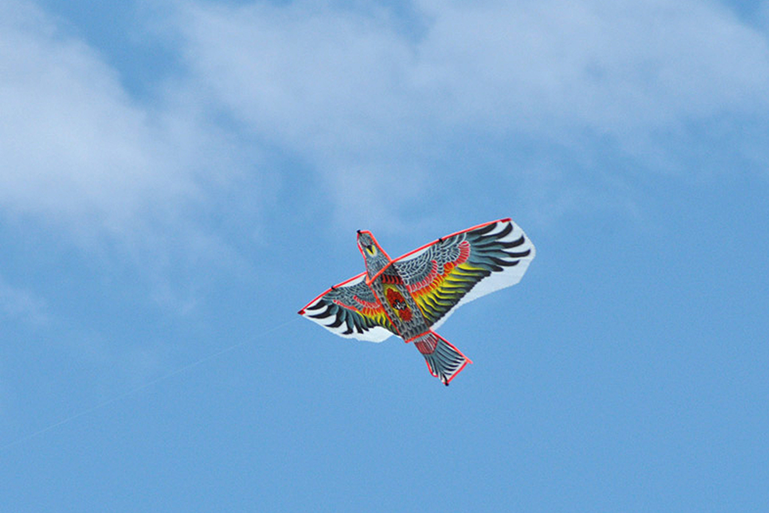 Фестиваль воздушных змеев в Касимове. Фотостудия Портрет Свадебный и семейный фотограф в Рязани