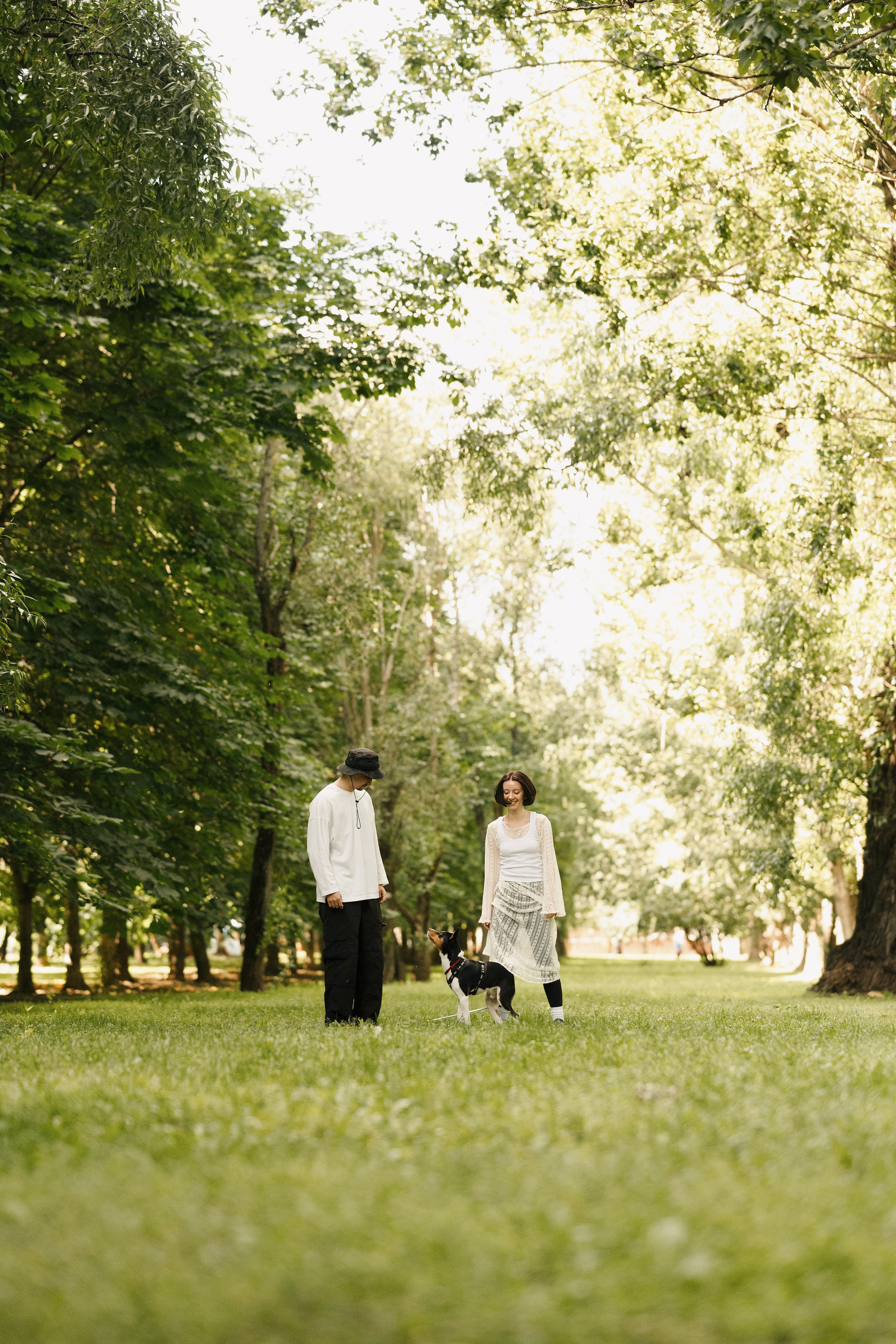 Златан. Фотограф- анималист Александра Матвеева