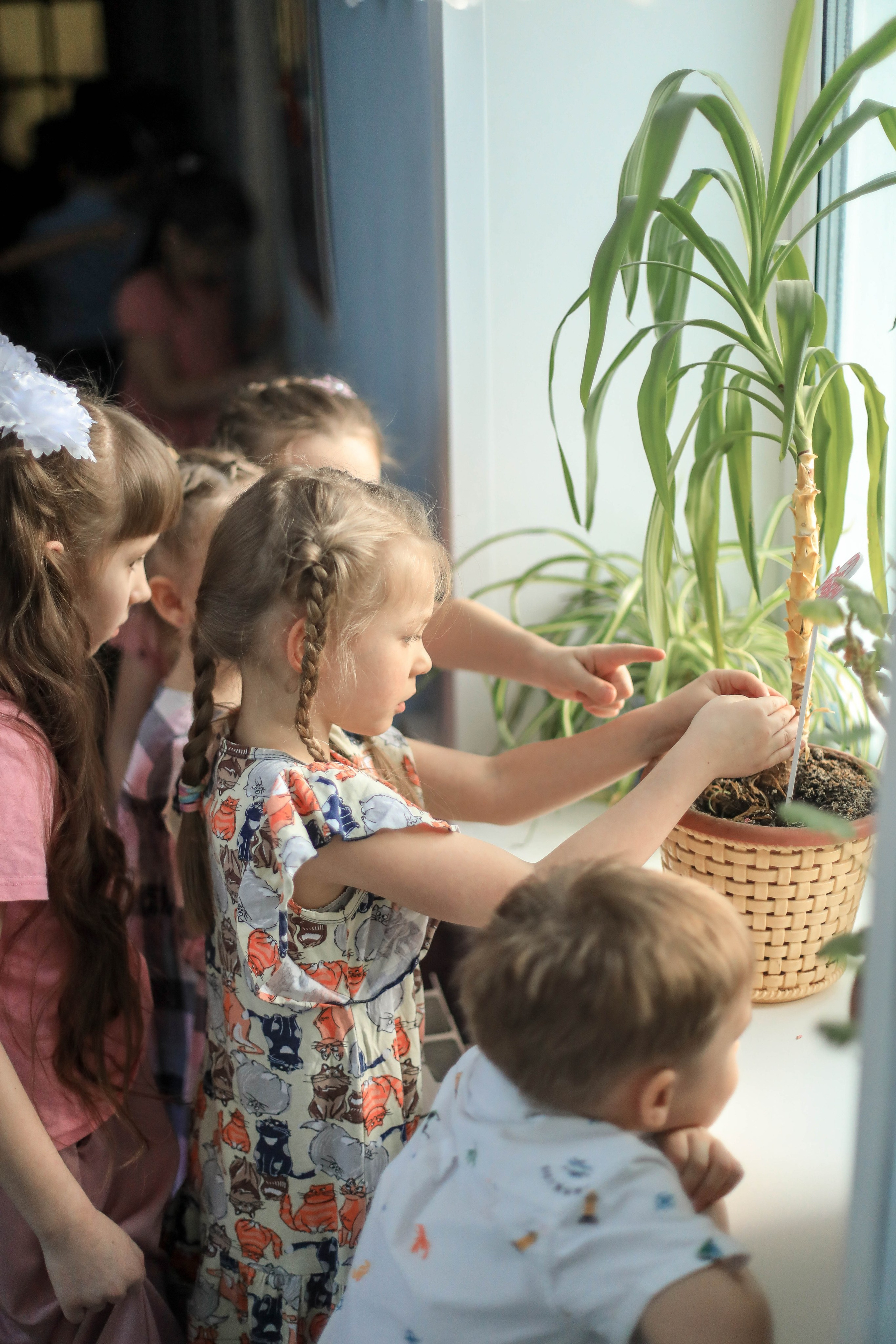 Раменское дет.сад 17, группа 13. Контент фотограф в Москве Екатерина Михно