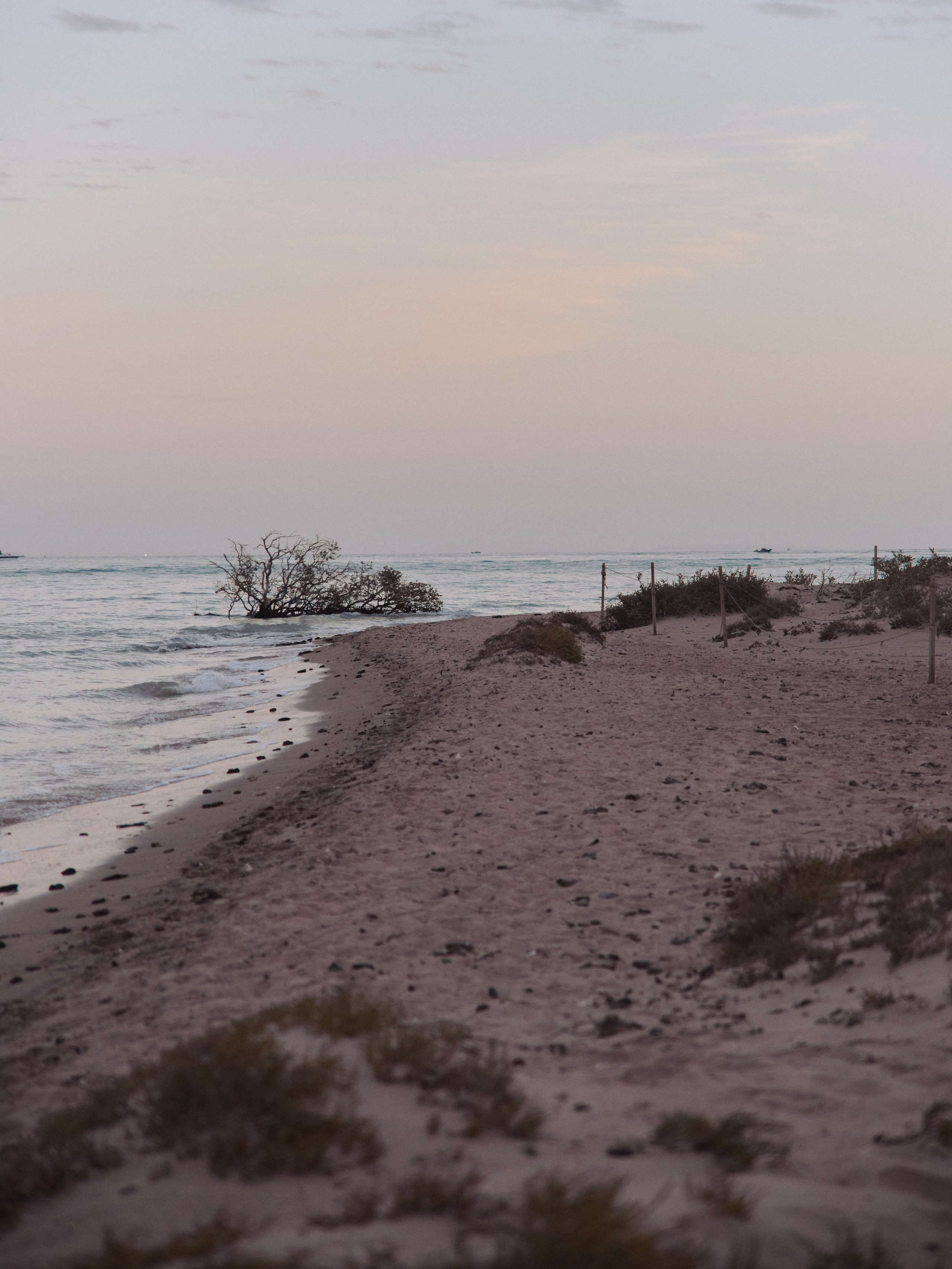 Улицы. Jorgis Talè — photographer, kind person, teacher of arts and other mag