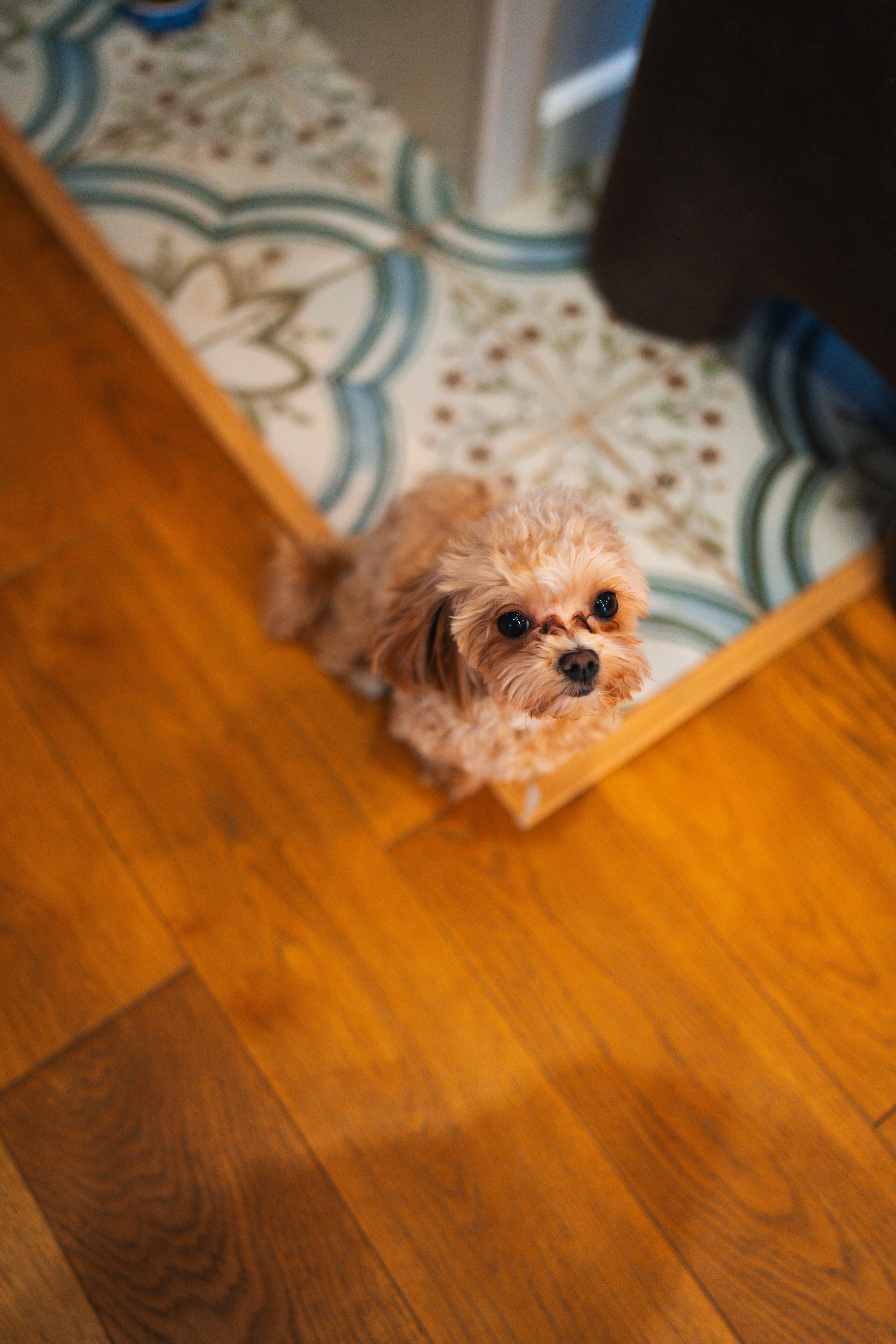 Пасха. Свадебный фотограф в Москве Кристина Чехова