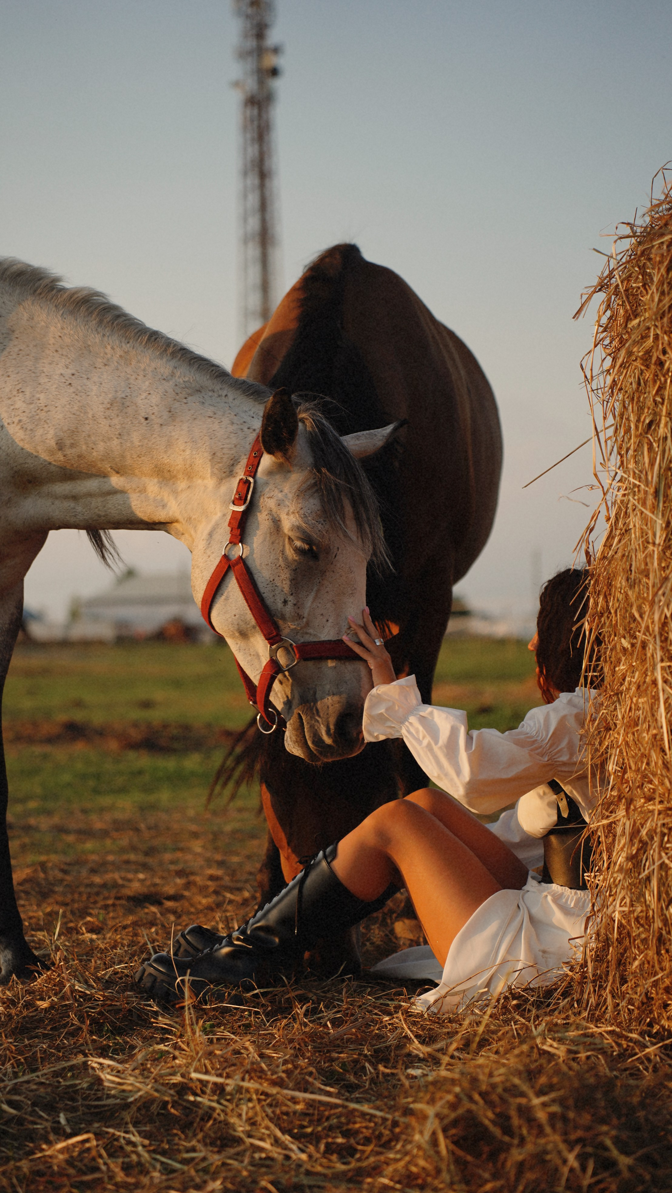 С лошадьми. Главная
