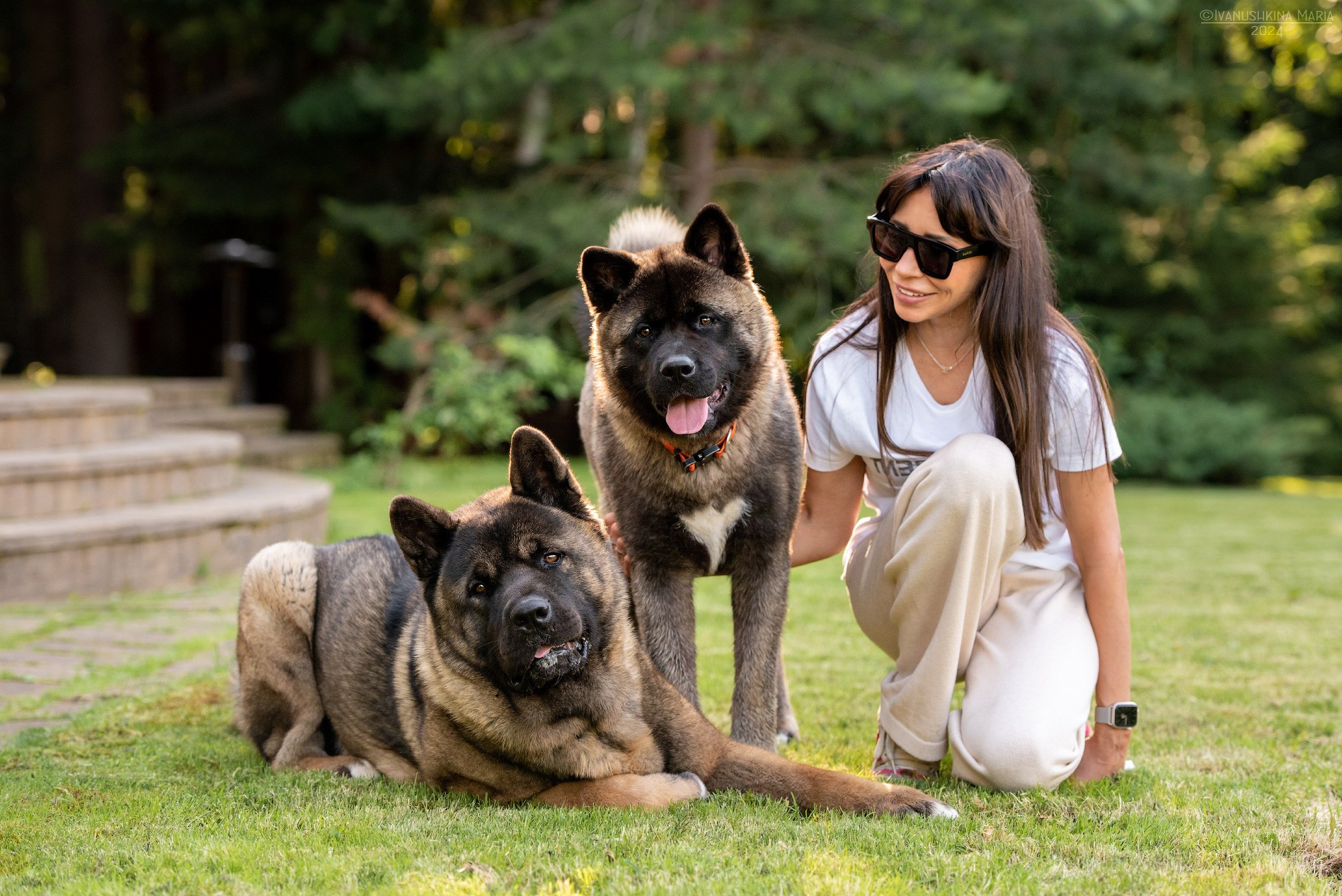 Фотосессия с собакой. Фотограф собак в Москве и Московской области Иванушкина Мария