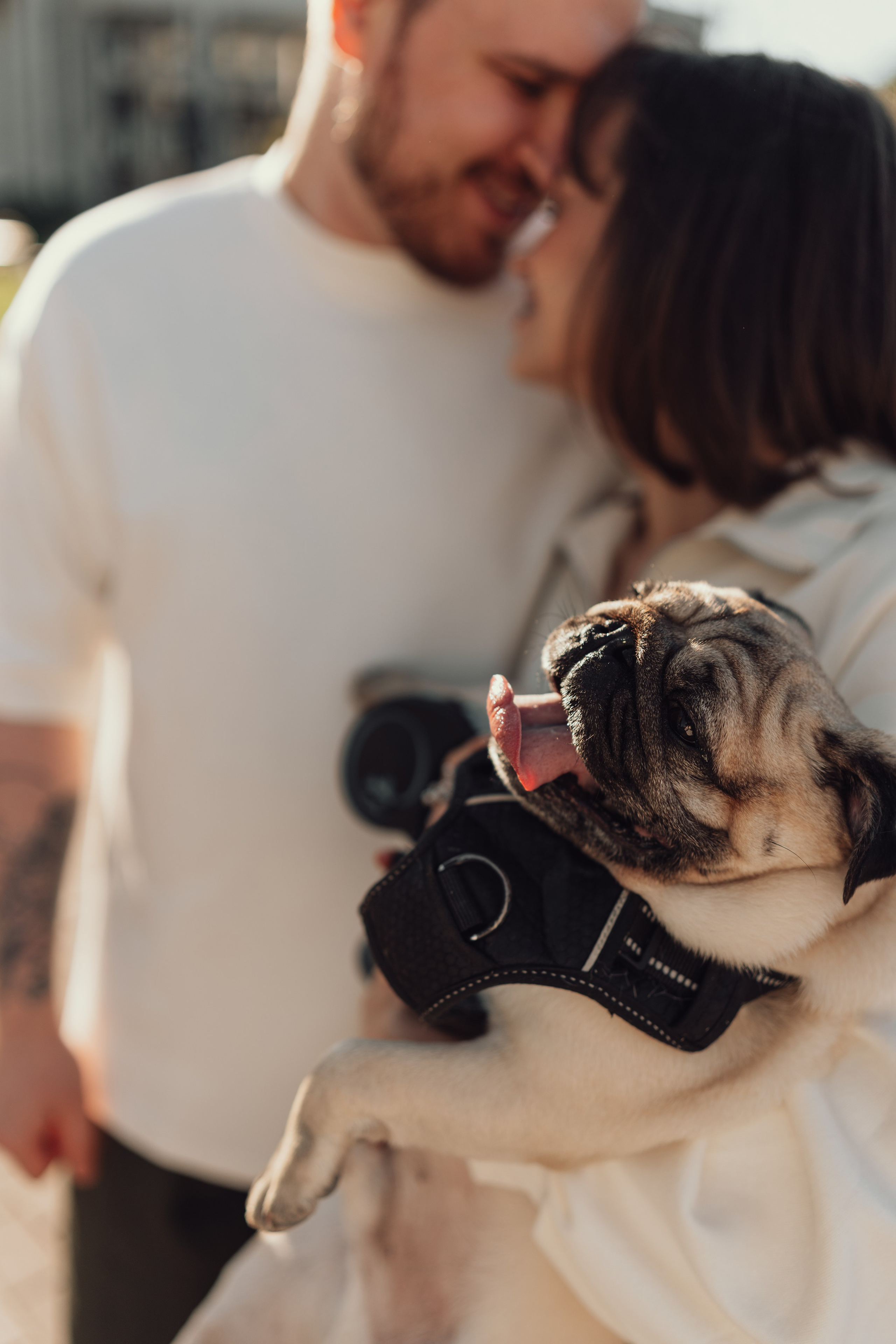 Данила, Дарья и Феня. Hmliber — фотограф и контент-креатор из Петербурга