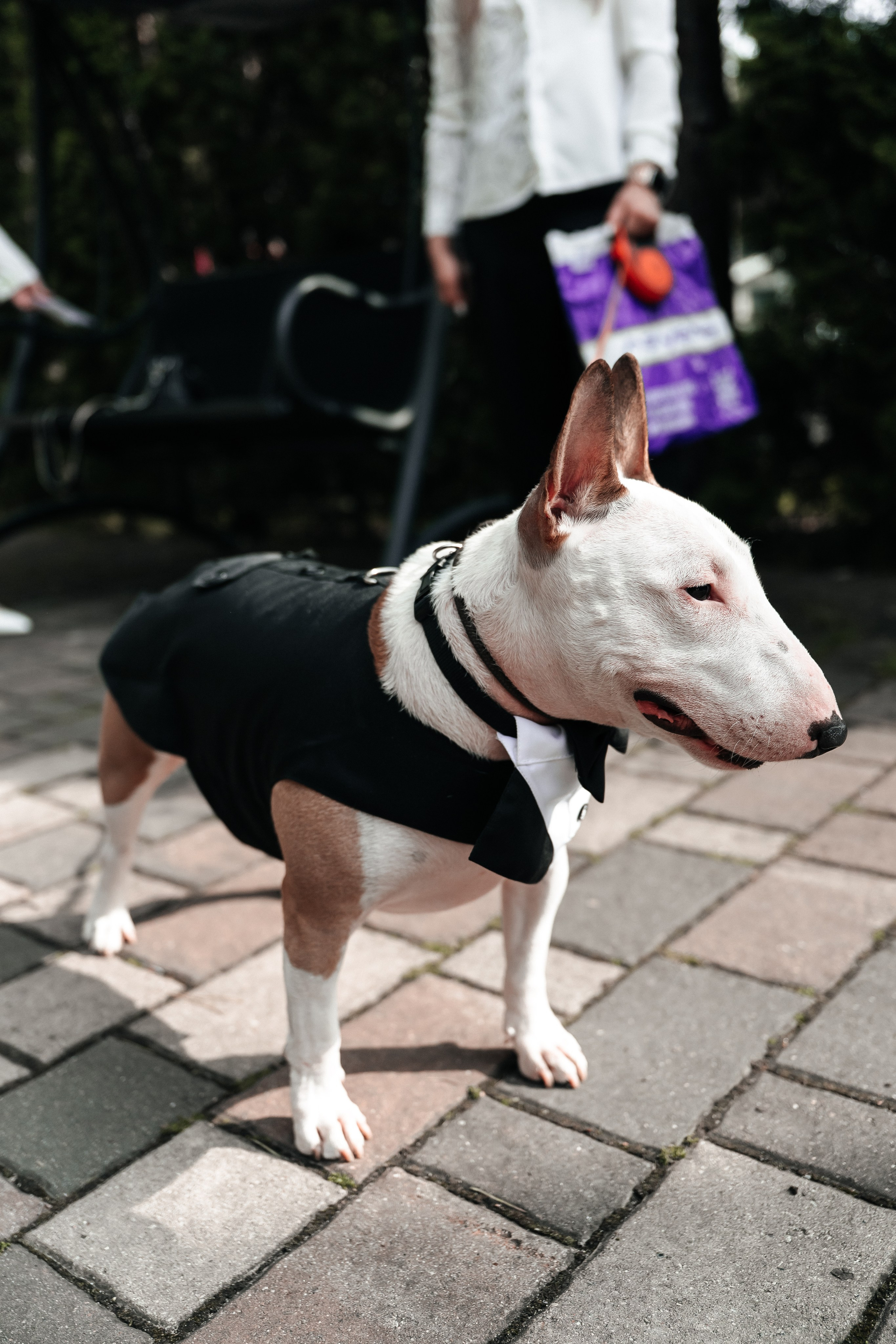 Андрей и Алина. Фотограф Екатерина Бочарникова