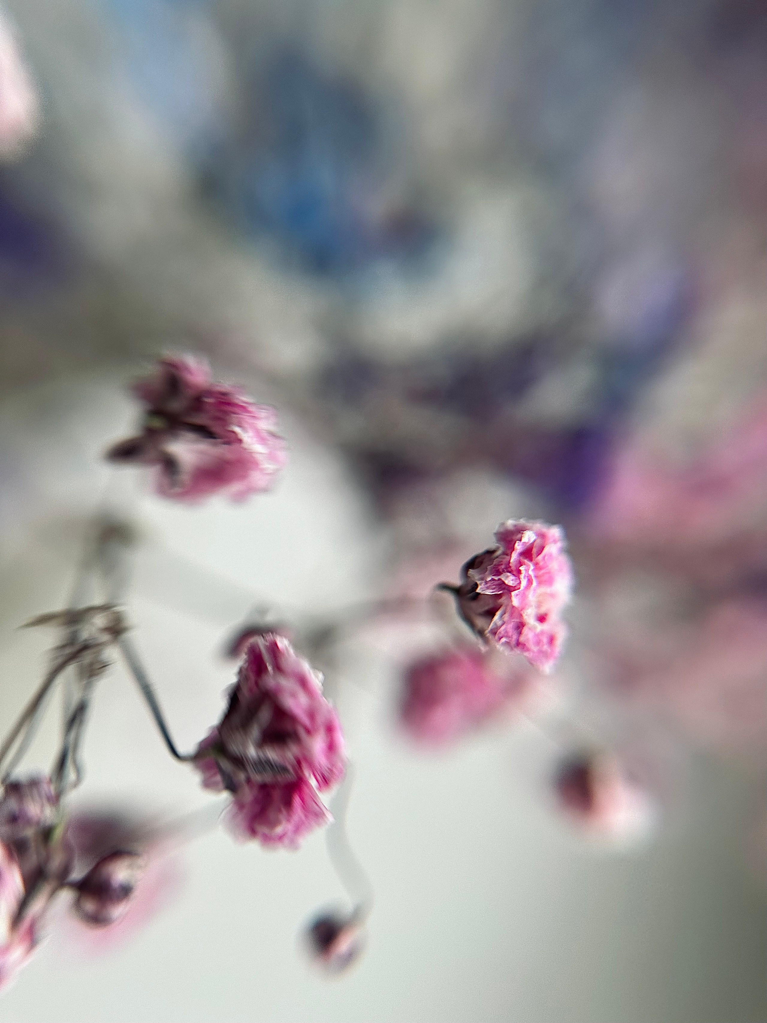 Мобильная фотография