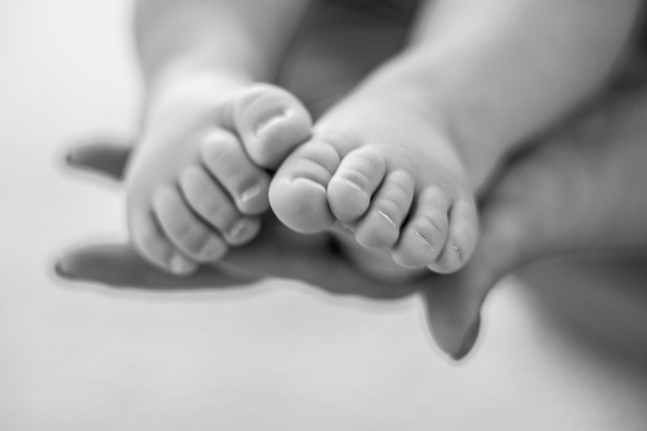 Наташа и Дима. Свадебный и семейный фотограф в Санкт-Петербурге Кирилл Шалагинов