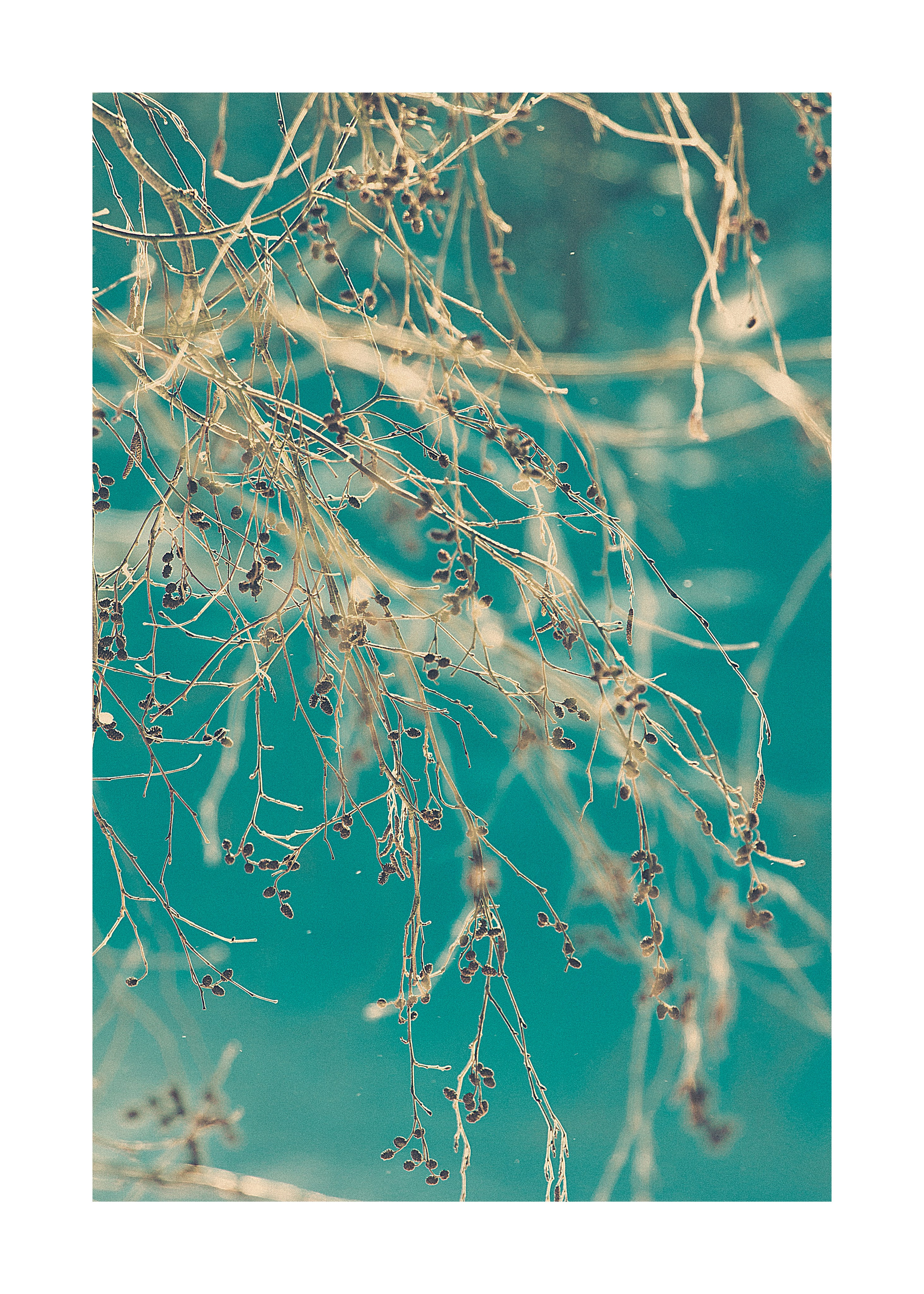 постер постеры море фото на стену фото для печати фото в раму декор из фото