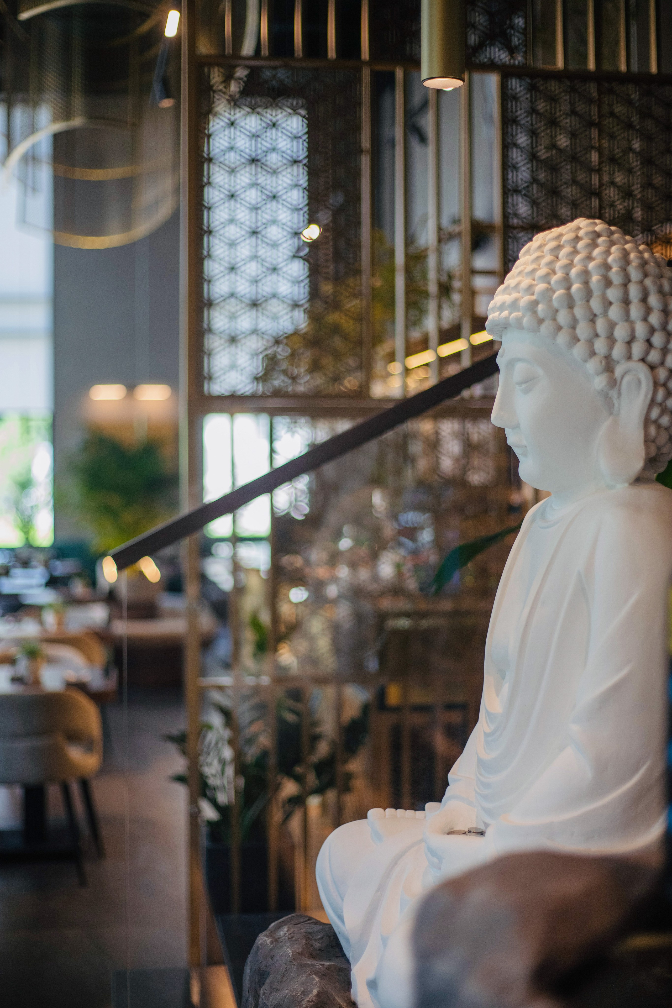 Cafe. Photographer Alina Skitovich